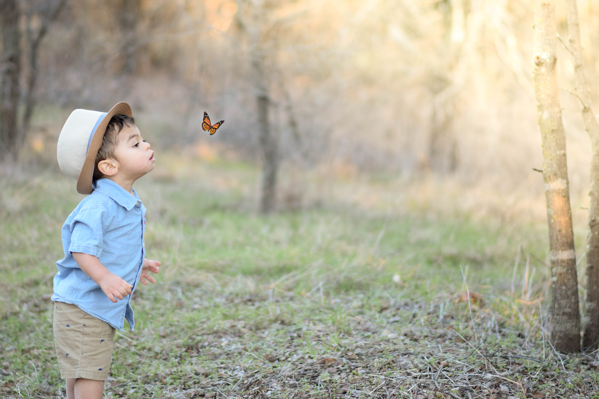 Nikon D3300 sample photo. Jordy and the butterfly photography