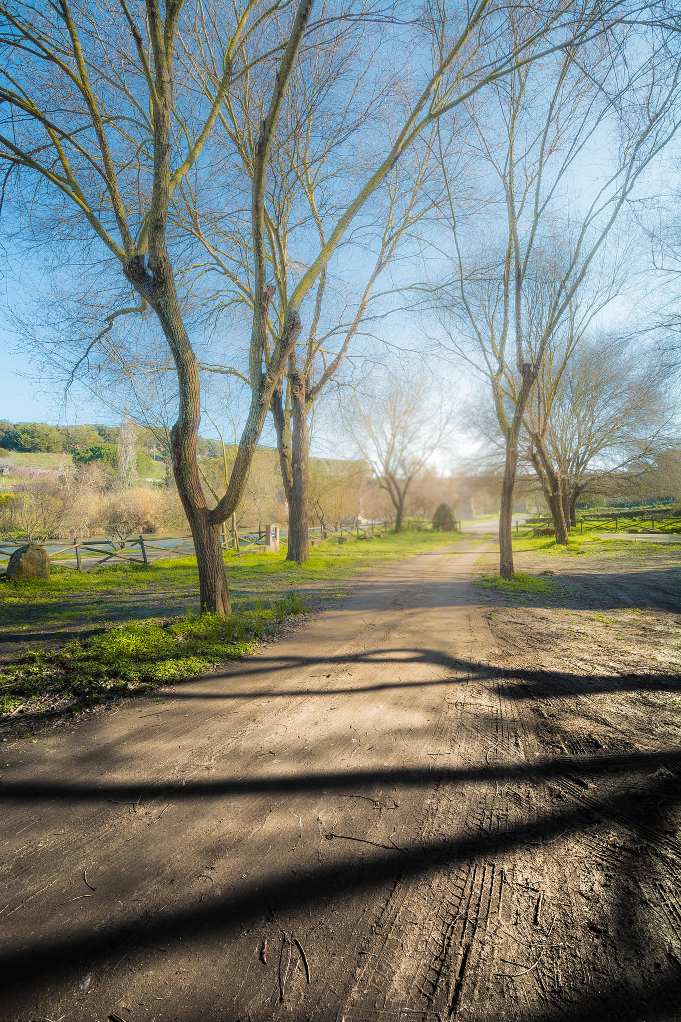 Sigma 8-16mm F4.5-5.6 DC HSM sample photo. Morning walk photography
