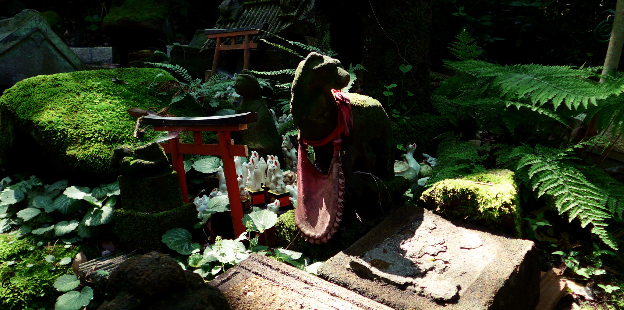 Leica C (Typ 112) sample photo. Sasuke inari shrine photography