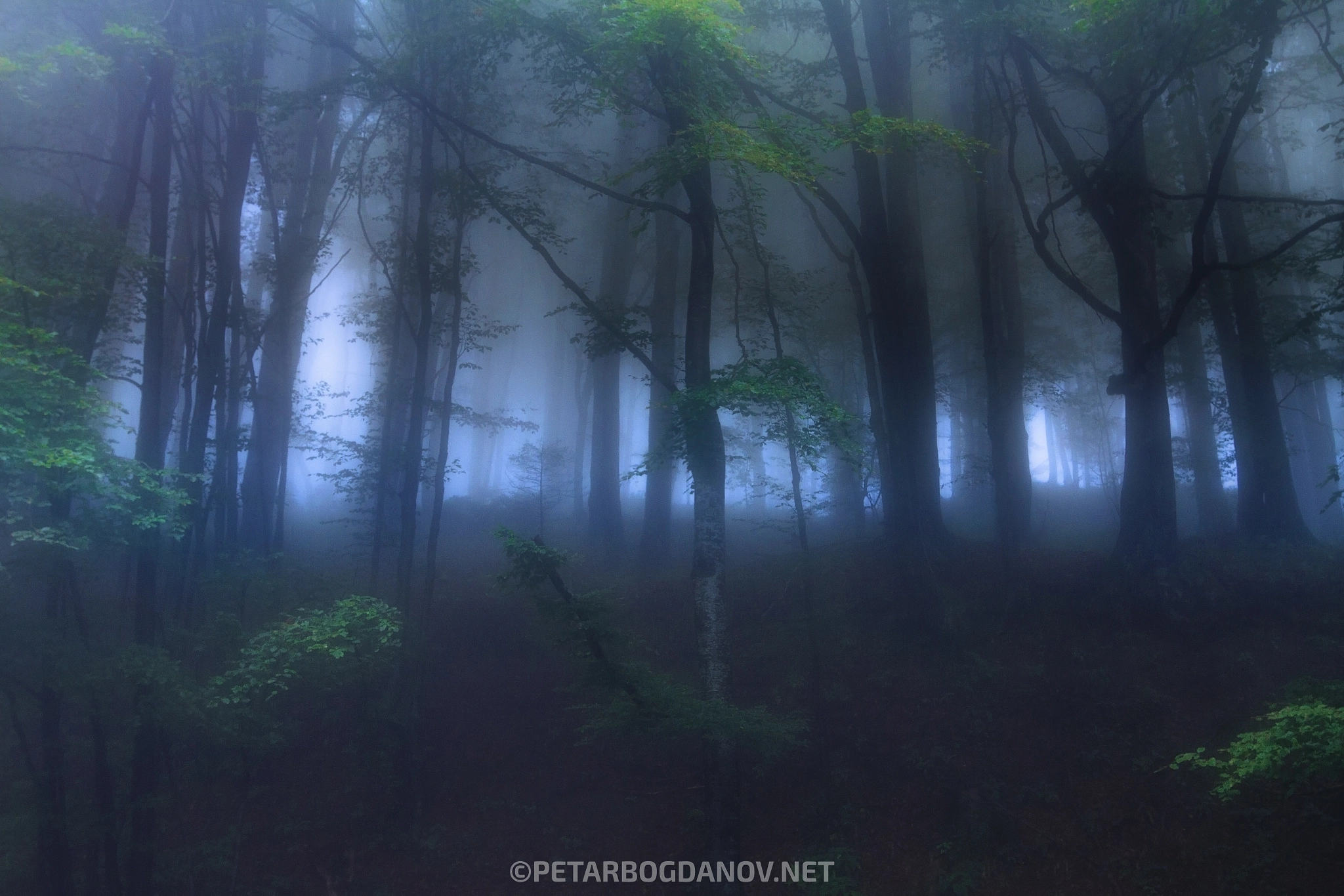 Tokina AT-X Pro 12-24mm F4 (IF) DX sample photo. Mists photography