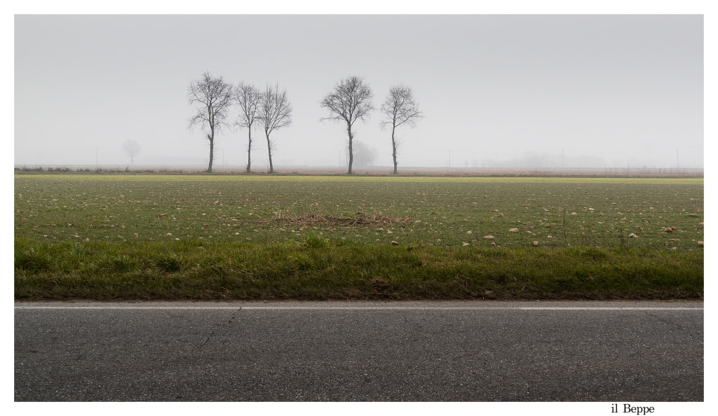 Pentax K-3 sample photo. Linee. campagna altomilanese. photography