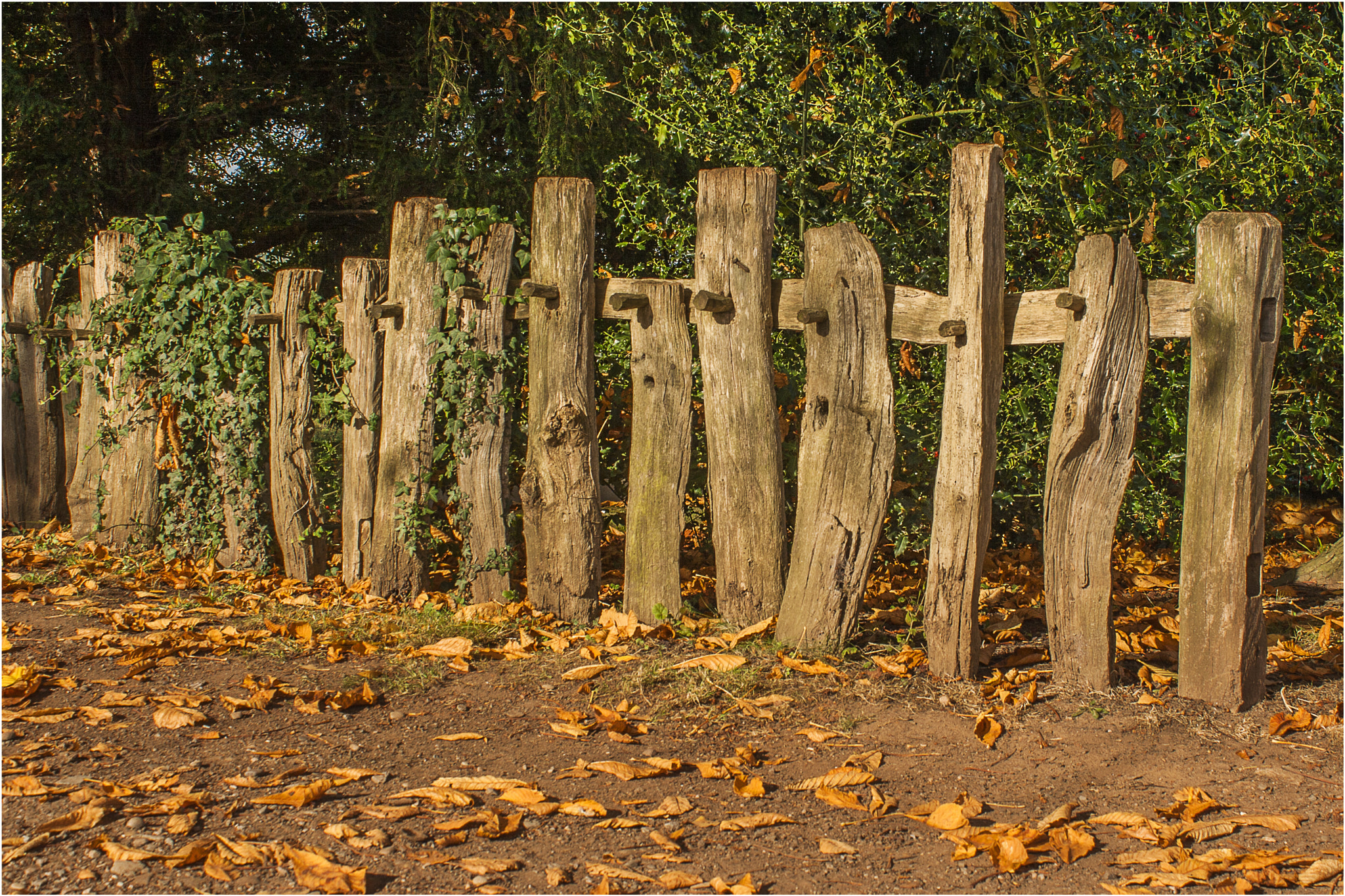 Canon EF-S 18-55mm F3.5-5.6 IS sample photo. Old wooden fence photography