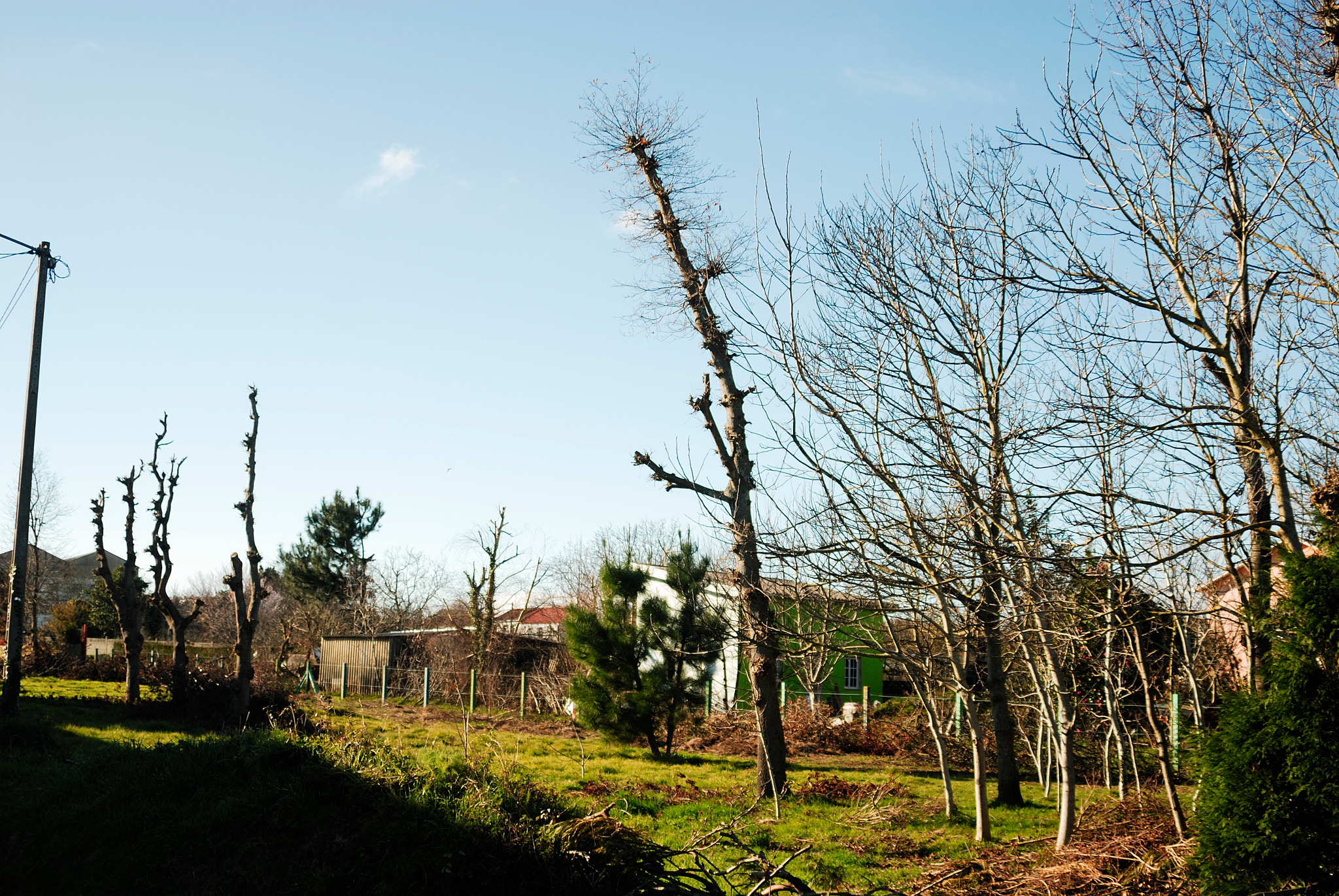 Nikon D200 sample photo. Paisaje rural photography