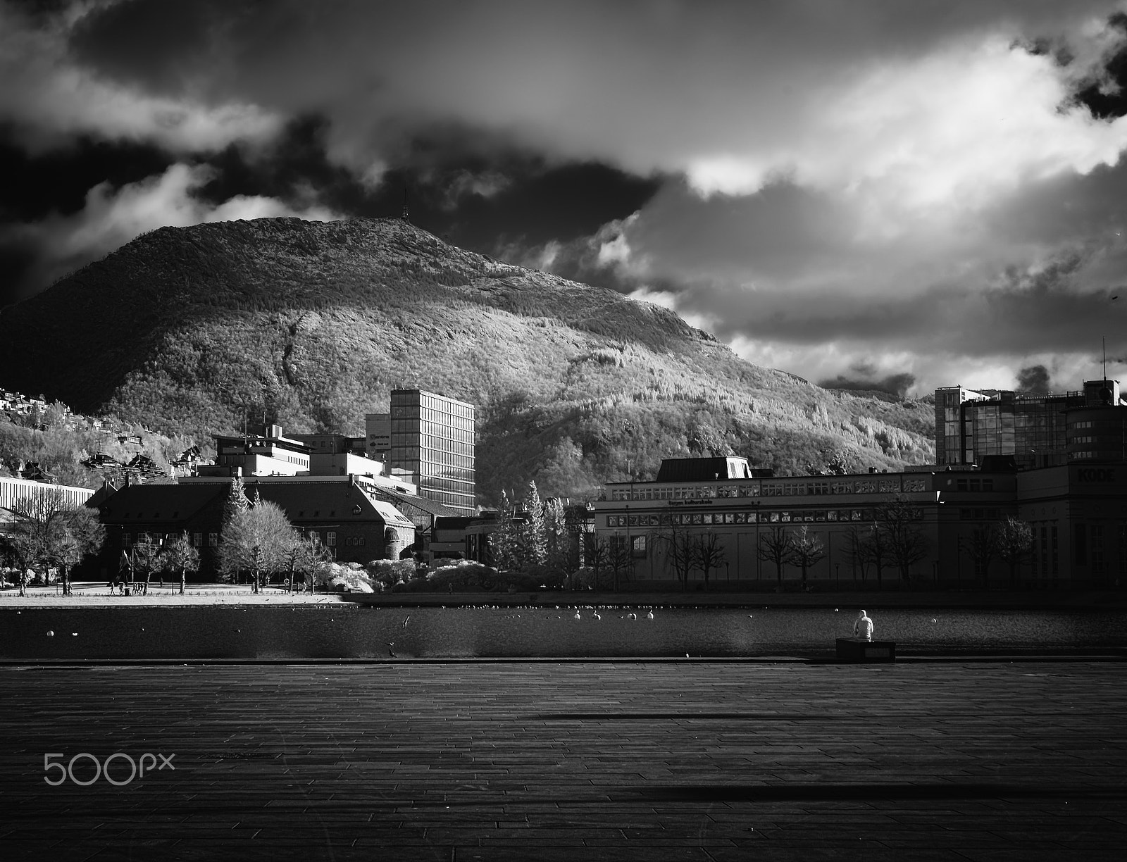 Sony Sonnar T* FE 35mm F2.8 ZA sample photo. Ir view photography