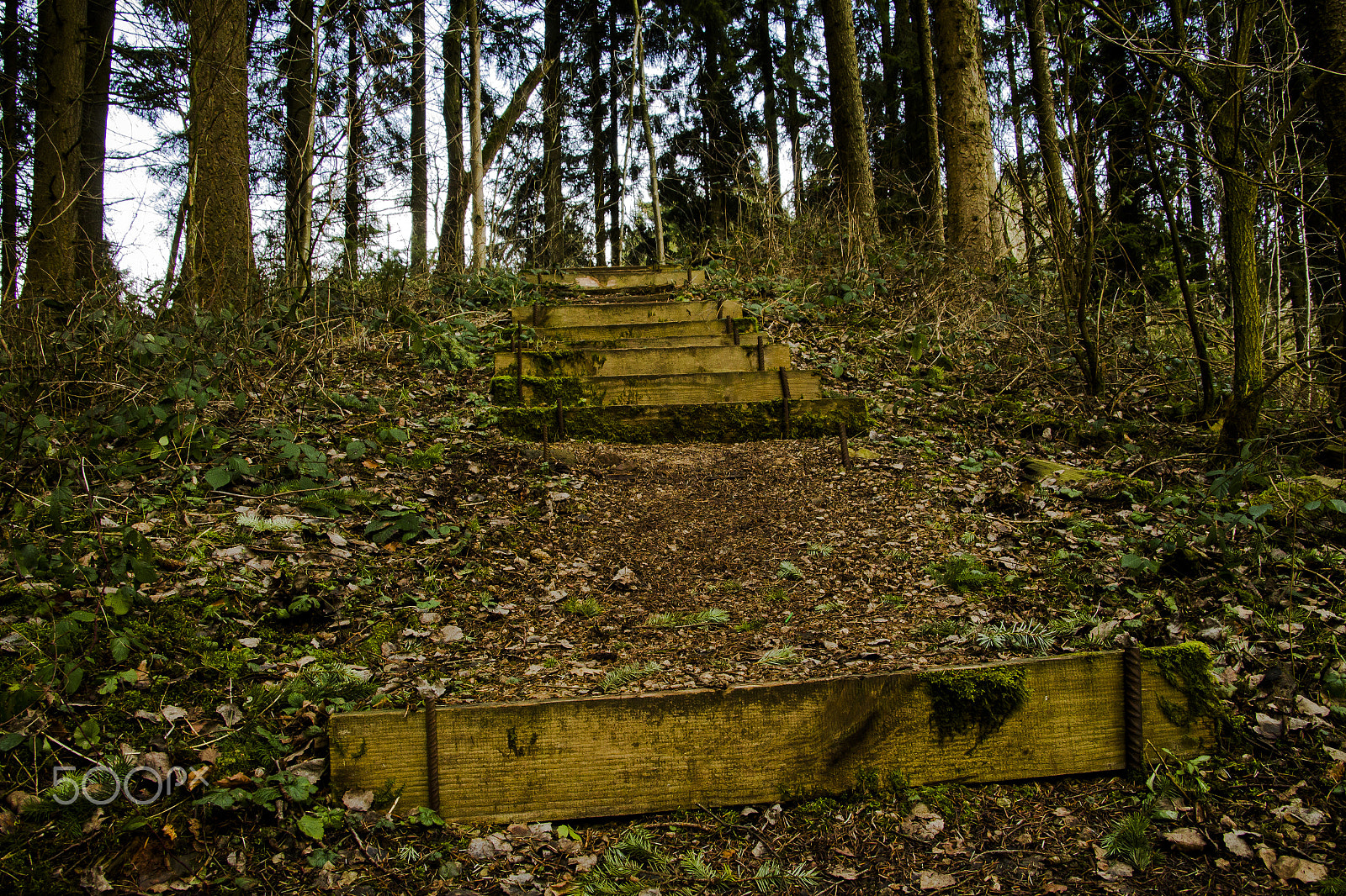 Canon EOS 700D (EOS Rebel T5i / EOS Kiss X7i) + Canon TS-E 90mm F2.8 Tilt-Shift sample photo. Stairs photography