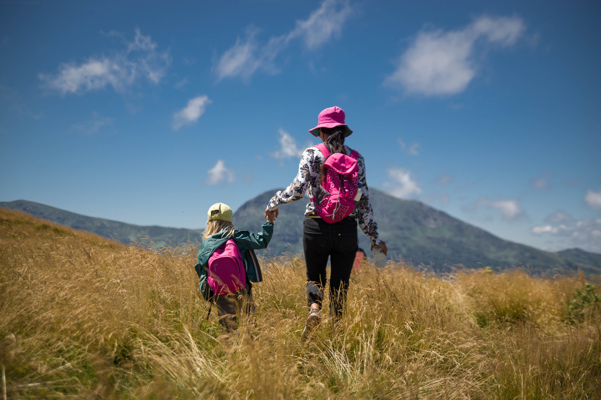 Pentax K-3 sample photo. A beautiful journey photography