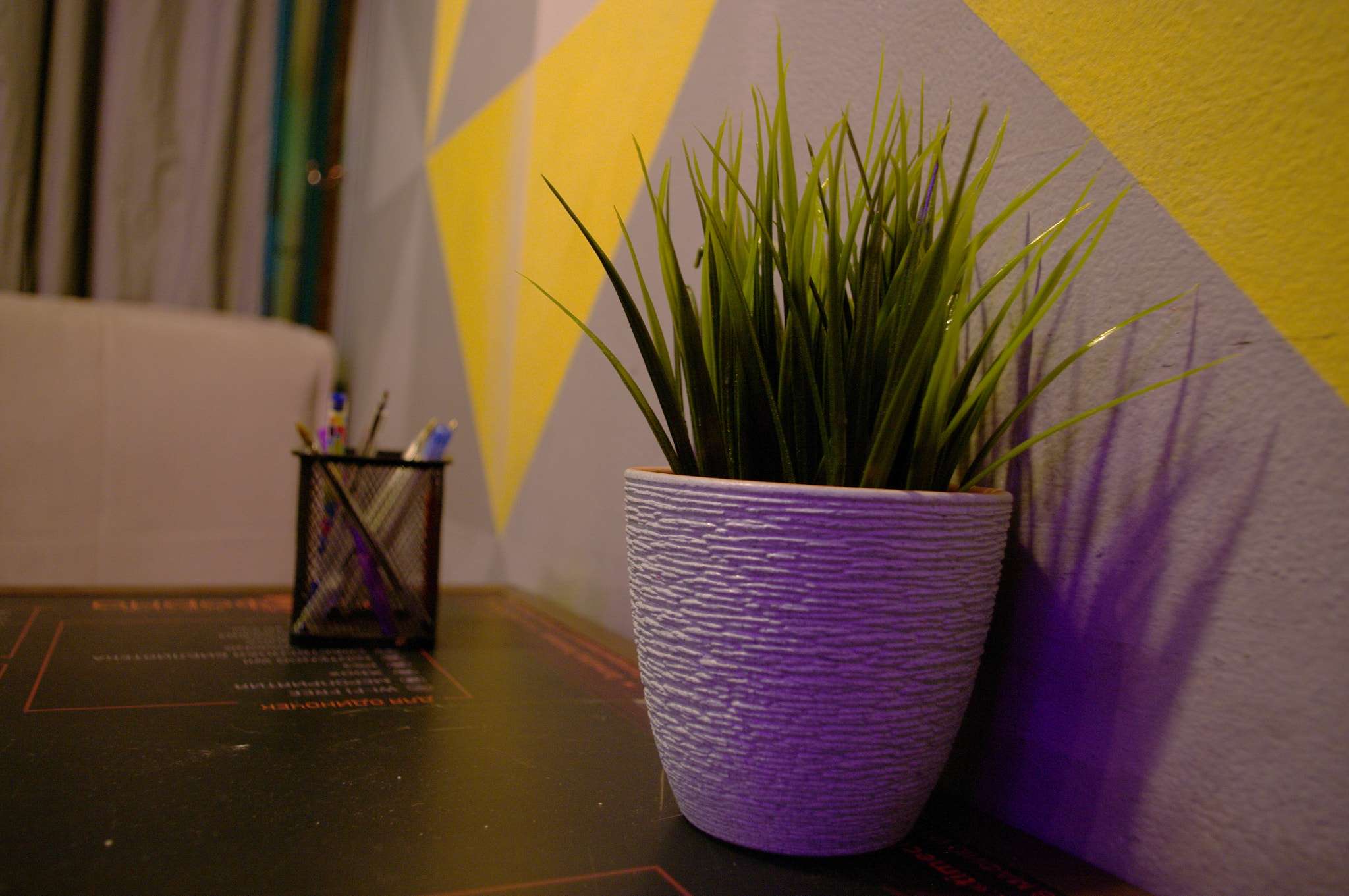 Pentax K20D sample photo. Grass in a pot photography