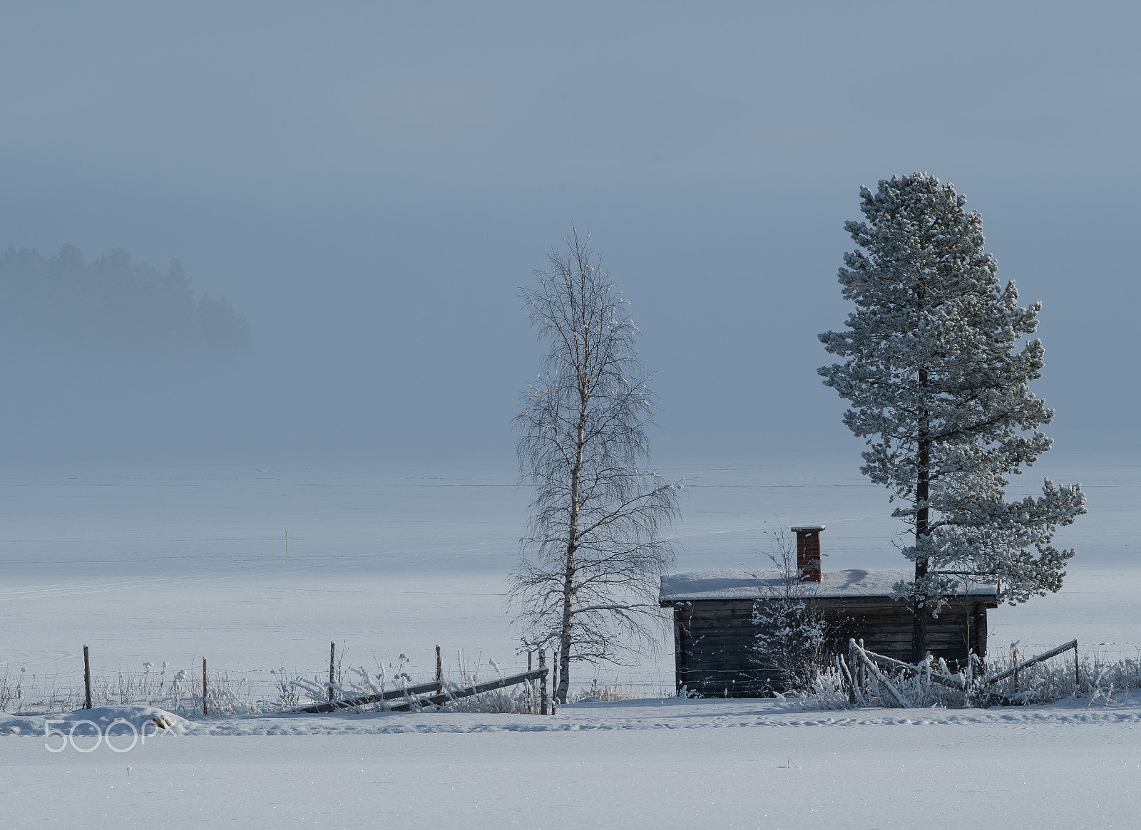 Nikon AF-S Nikkor 200-500mm F5.6E ED VR sample photo. Alone in the bigh white photography