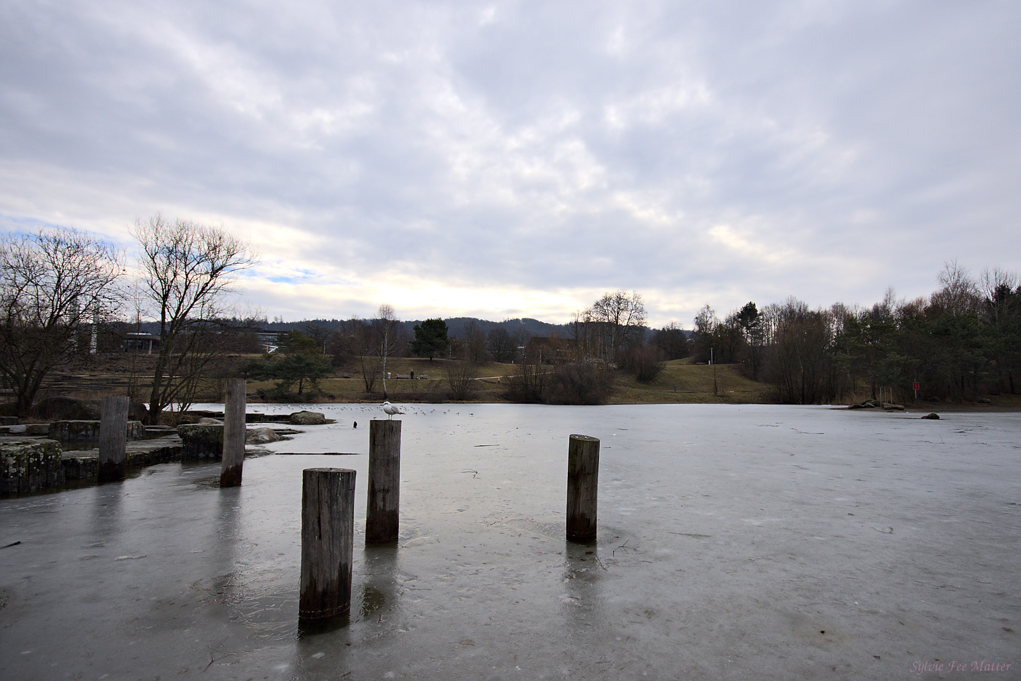 Sigma 10-20mm F4-5.6 EX DC HSM sample photo. Lonesome photography