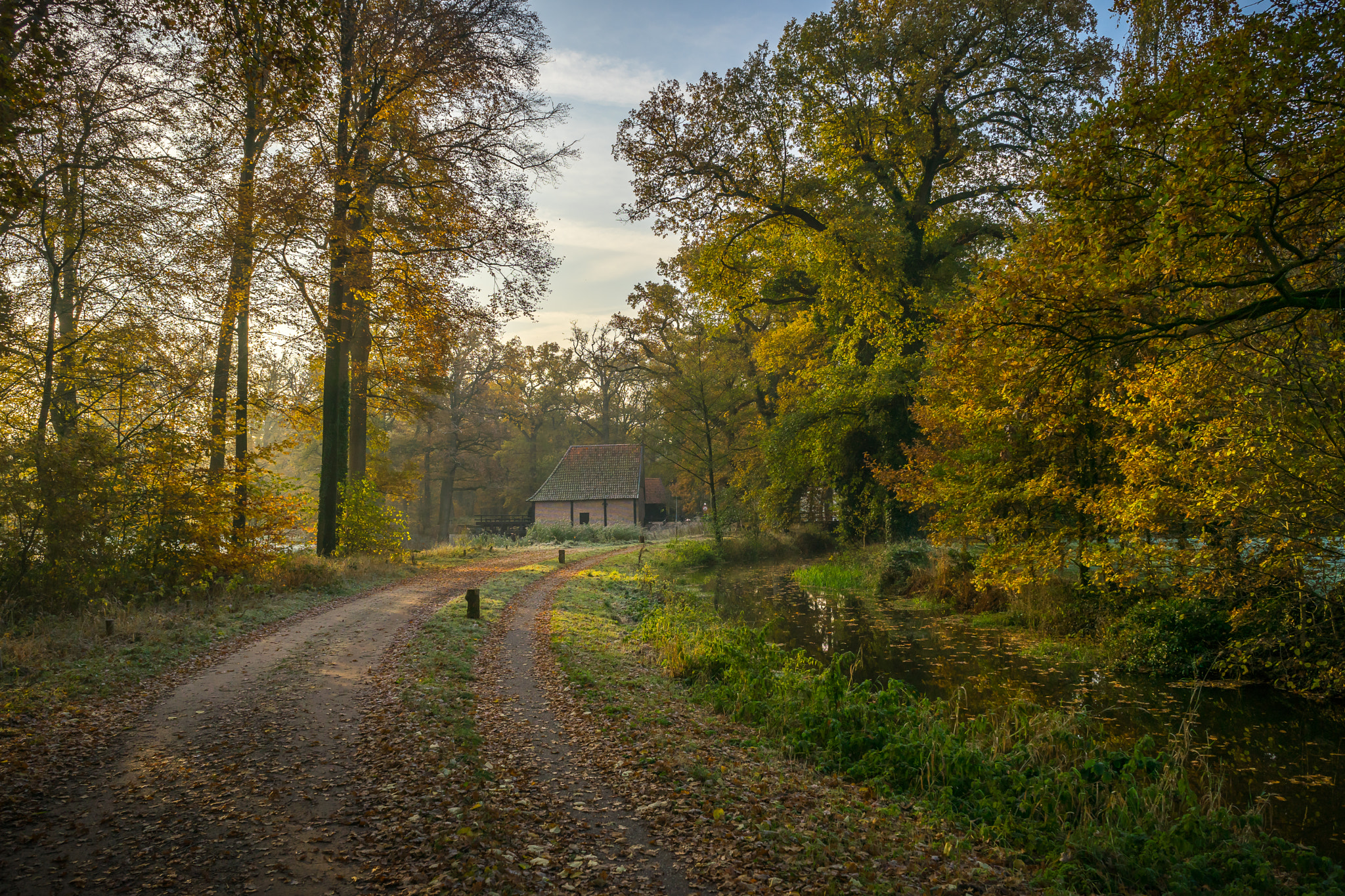 Sony a7 sample photo. The end of the road photography