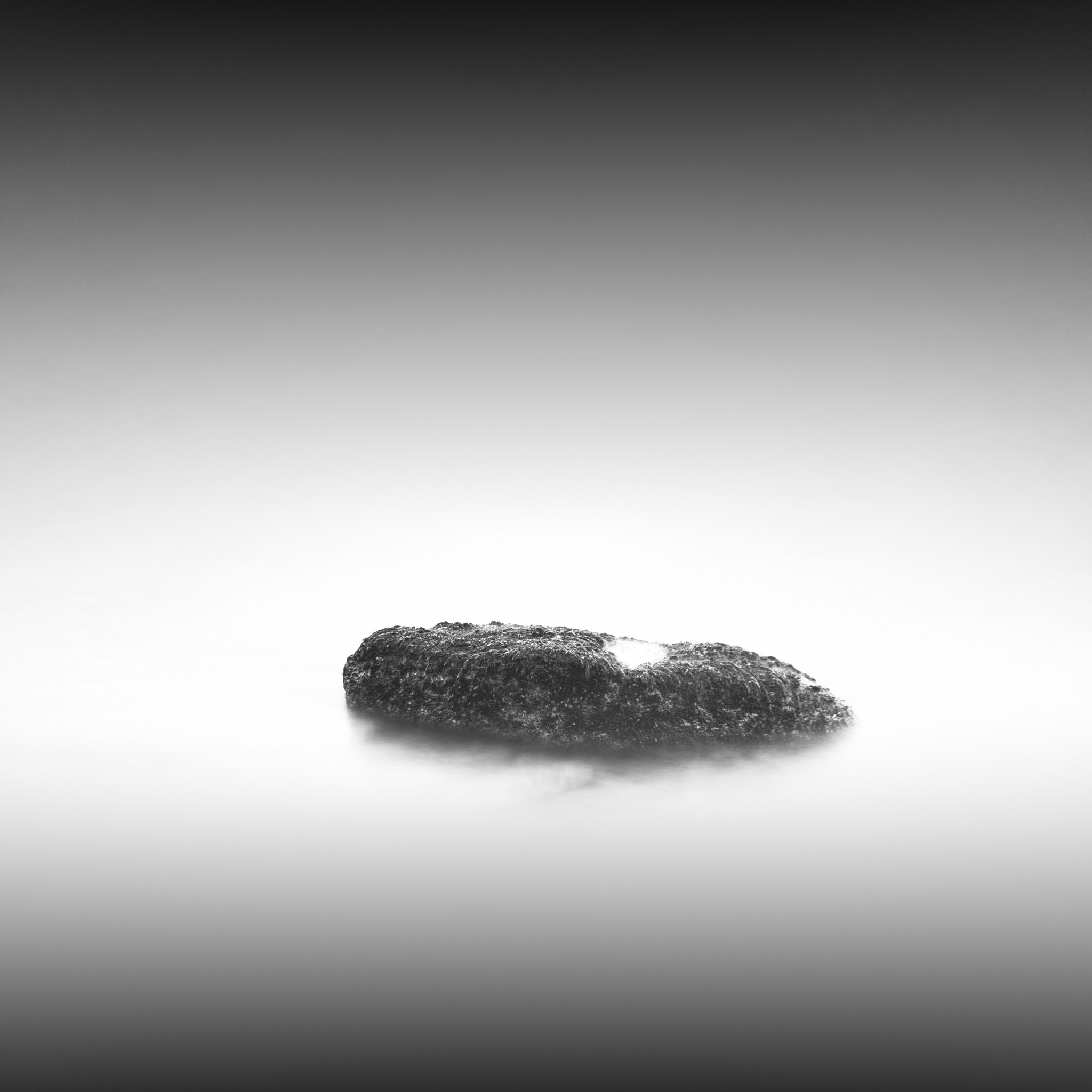 Nikon D80 sample photo. ... photography
