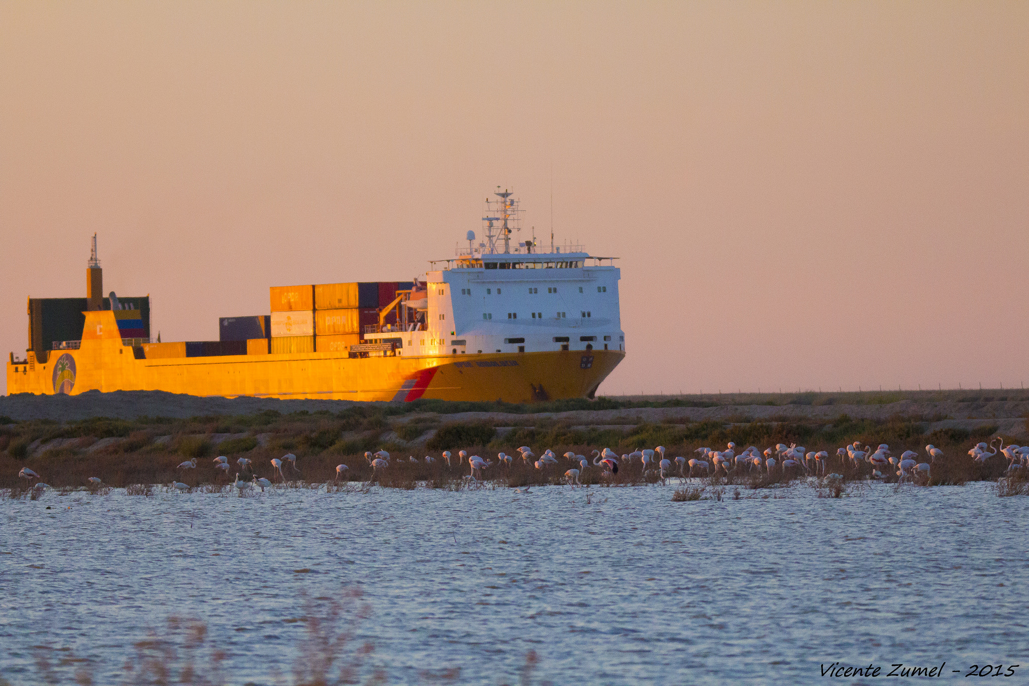 Tamron SP 150-600mm F5-6.3 Di VC USD sample photo. Guadalquivir photography