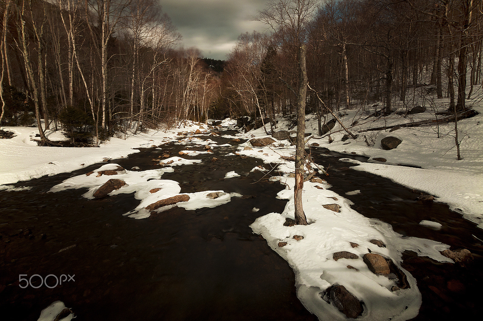 Nikon D5000 sample photo. Ausable river photography