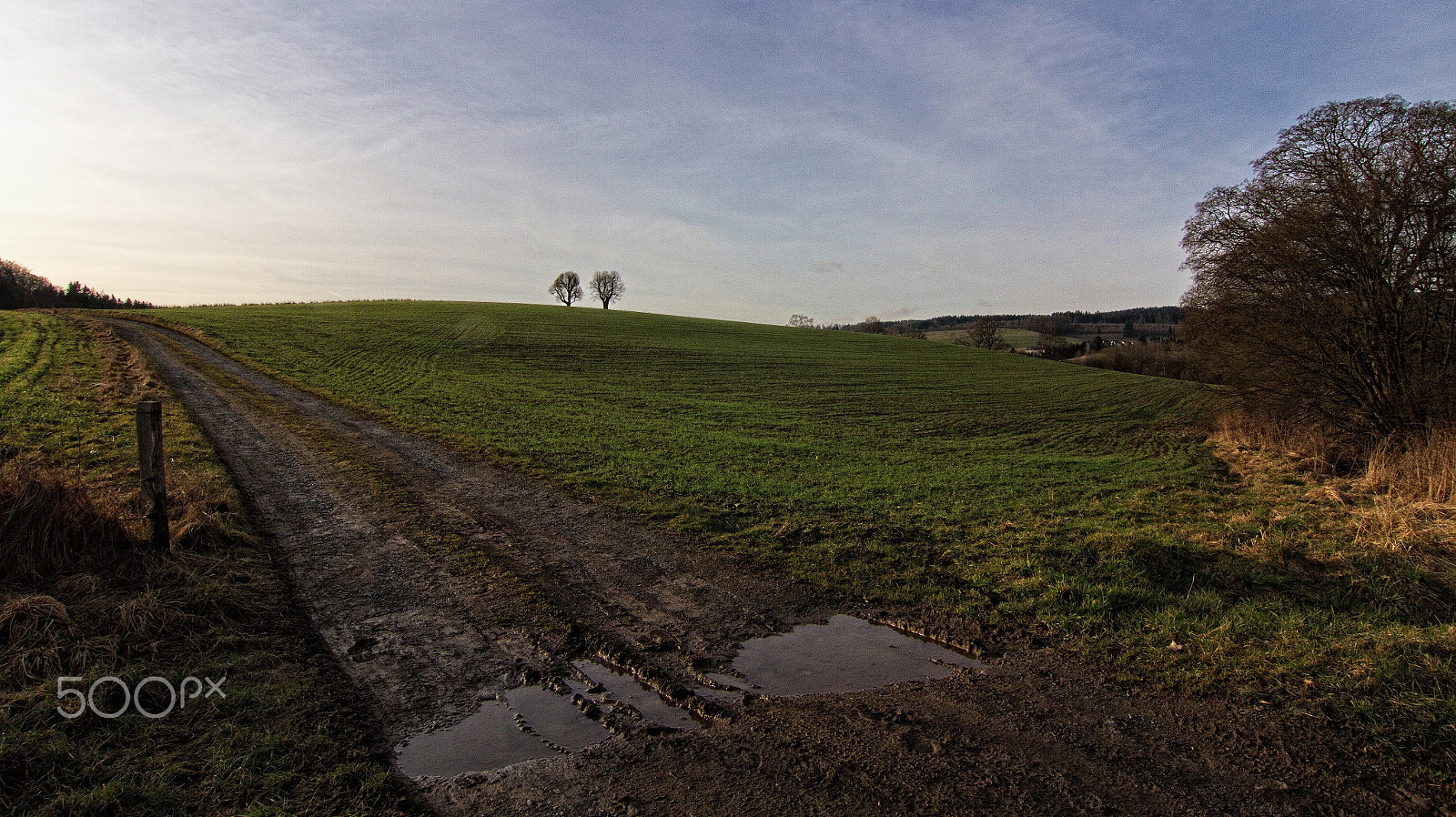 Tokina AT-X Pro 12-24mm F4 (IF) DX sample photo. After a rainy day photography