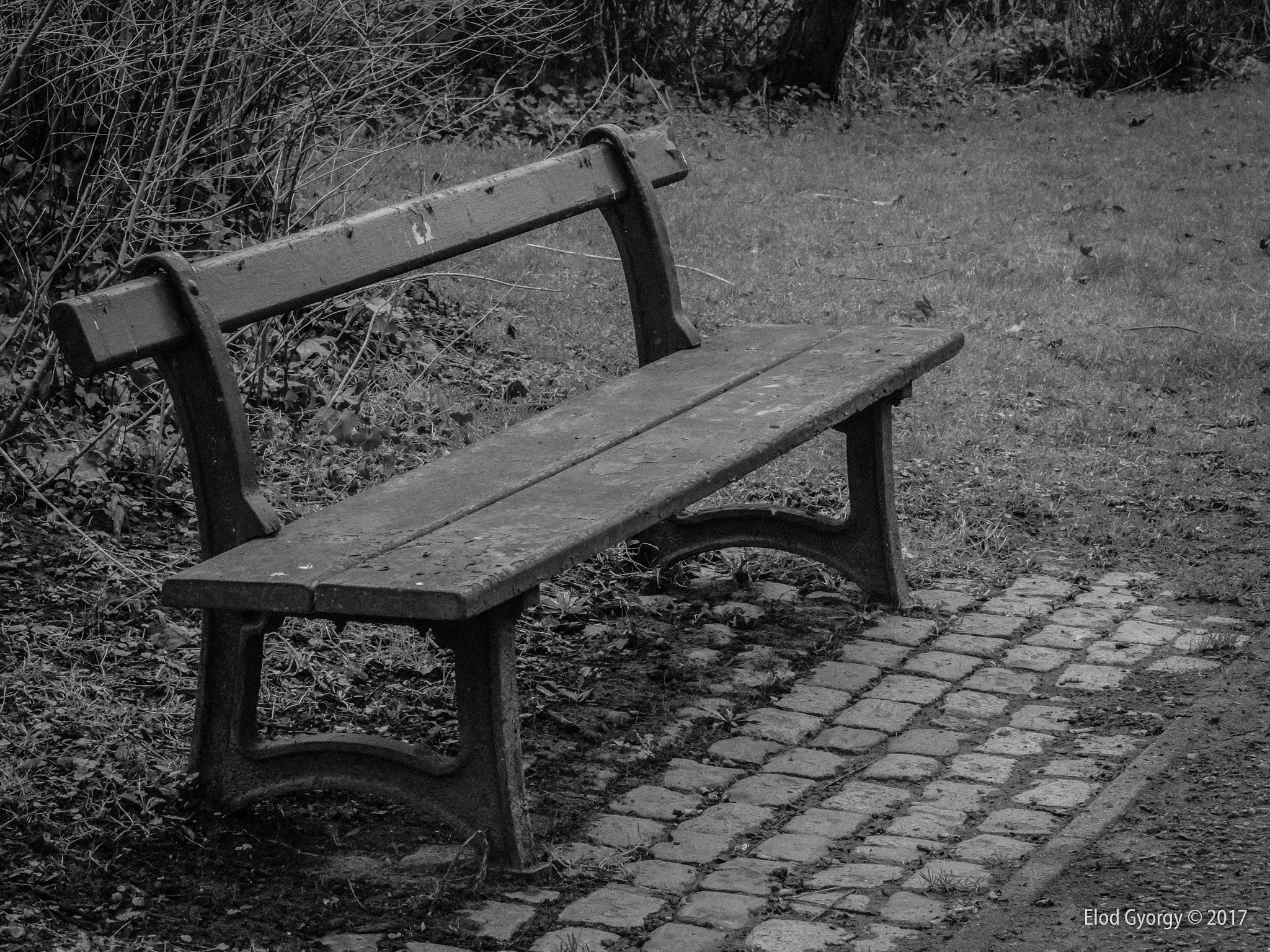 Nikon D3200 sample photo. Bench photography