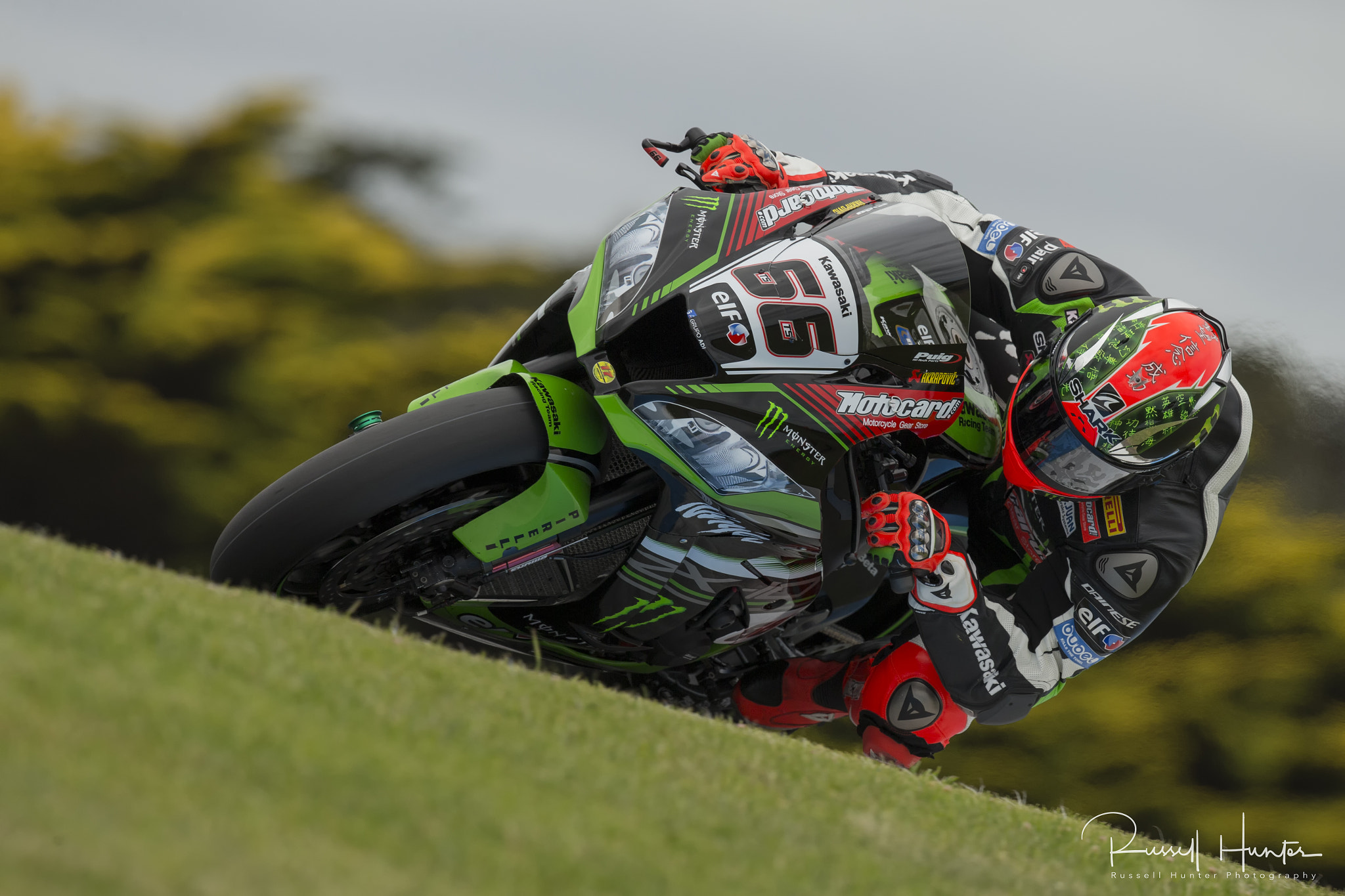 Canon EOS-1D X + Canon EF 500mm F4L IS II USM sample photo. Tom sykes photography