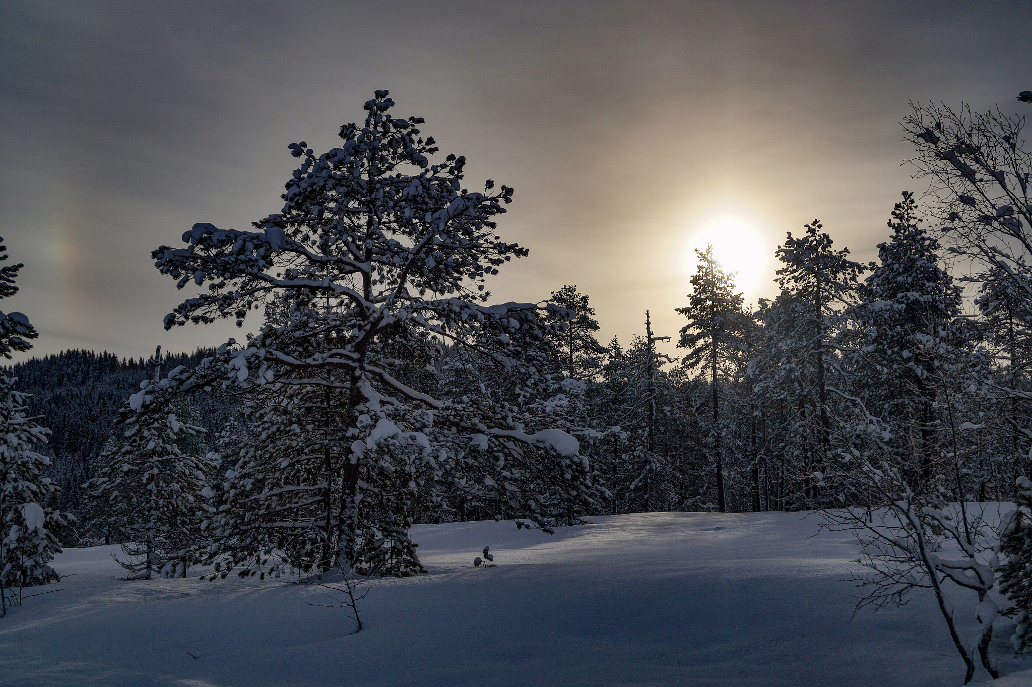 Sony SLT-A58 + Sony DT 18-55mm F3.5-5.6 SAM II sample photo. Morning sun photography