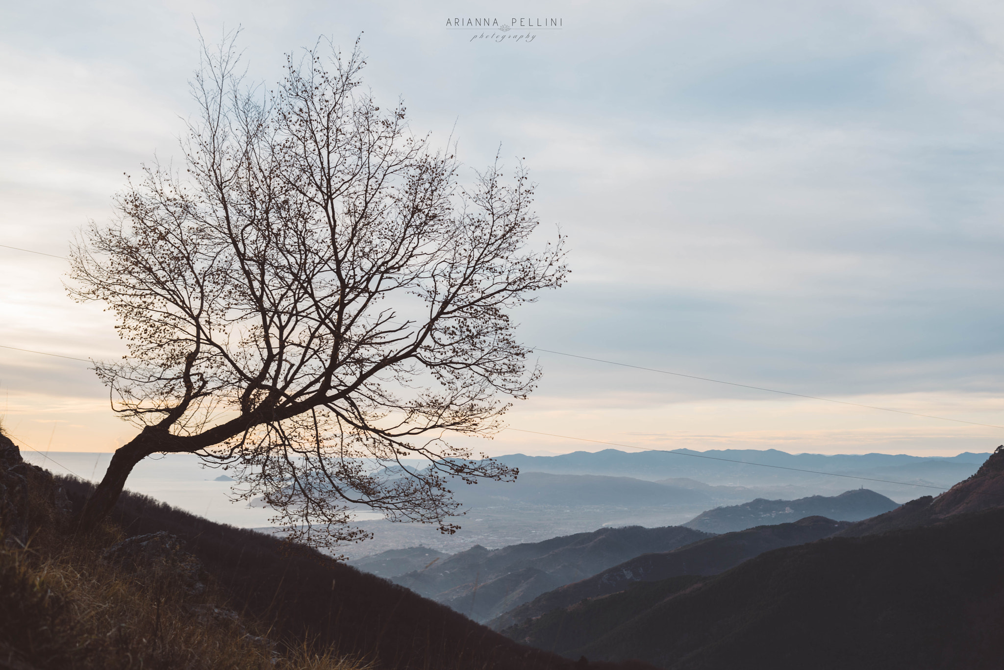 Sony a7R + Sony DT 50mm F1.8 SAM sample photo. Shades of solitude photography