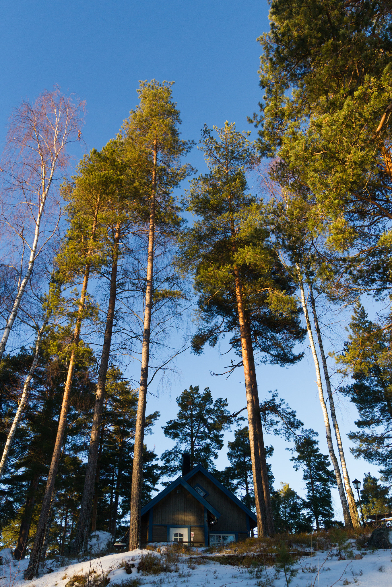 Sigma 10-20mm F3.5 EX DC HSM sample photo. Img photography