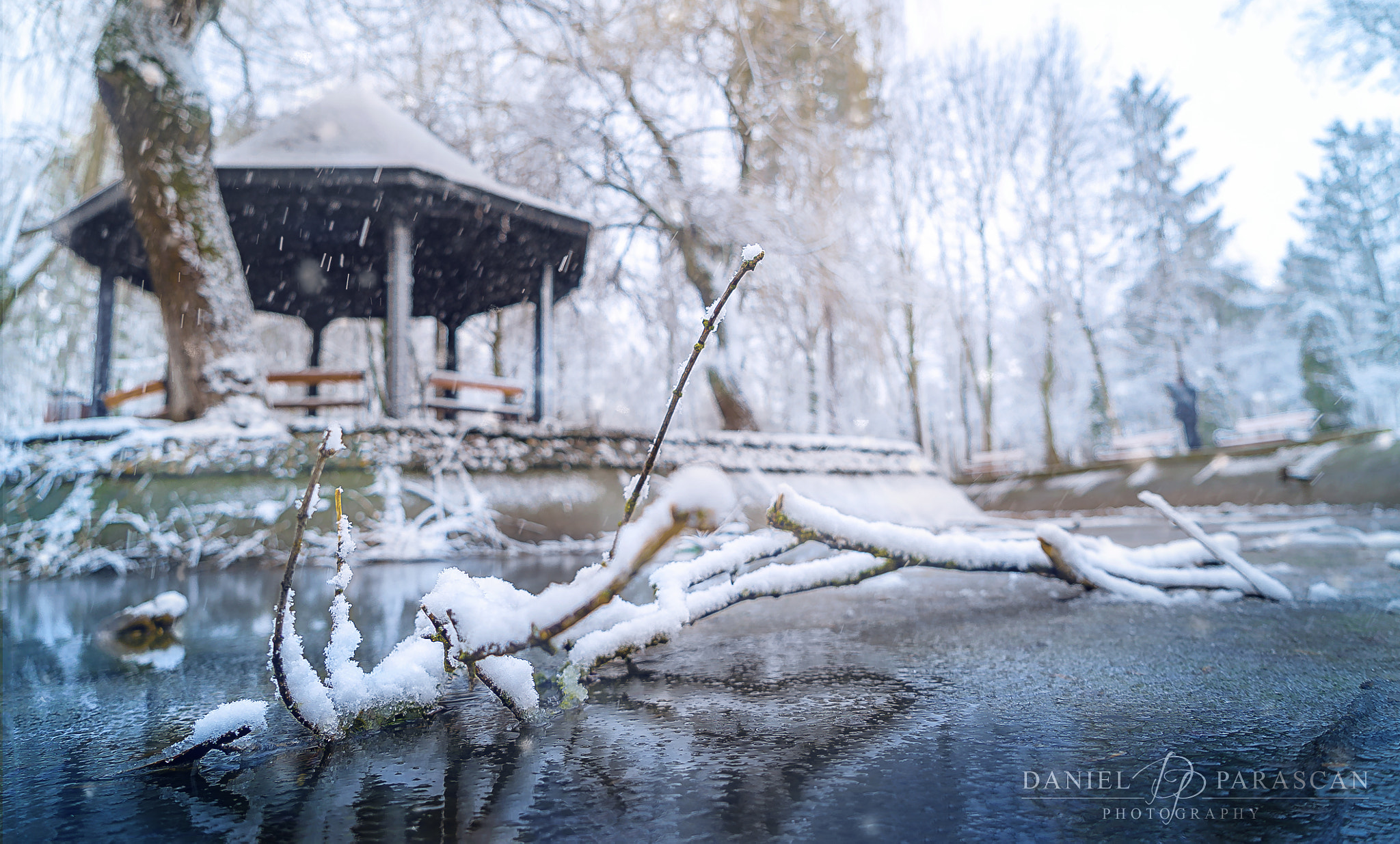 Sony a7S sample photo. Winter photography