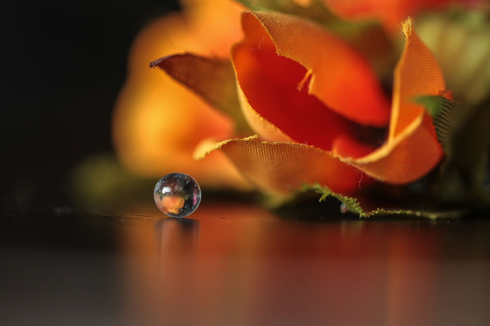 Canon EF 100mm F2.8L Macro IS USM sample photo. Img photography