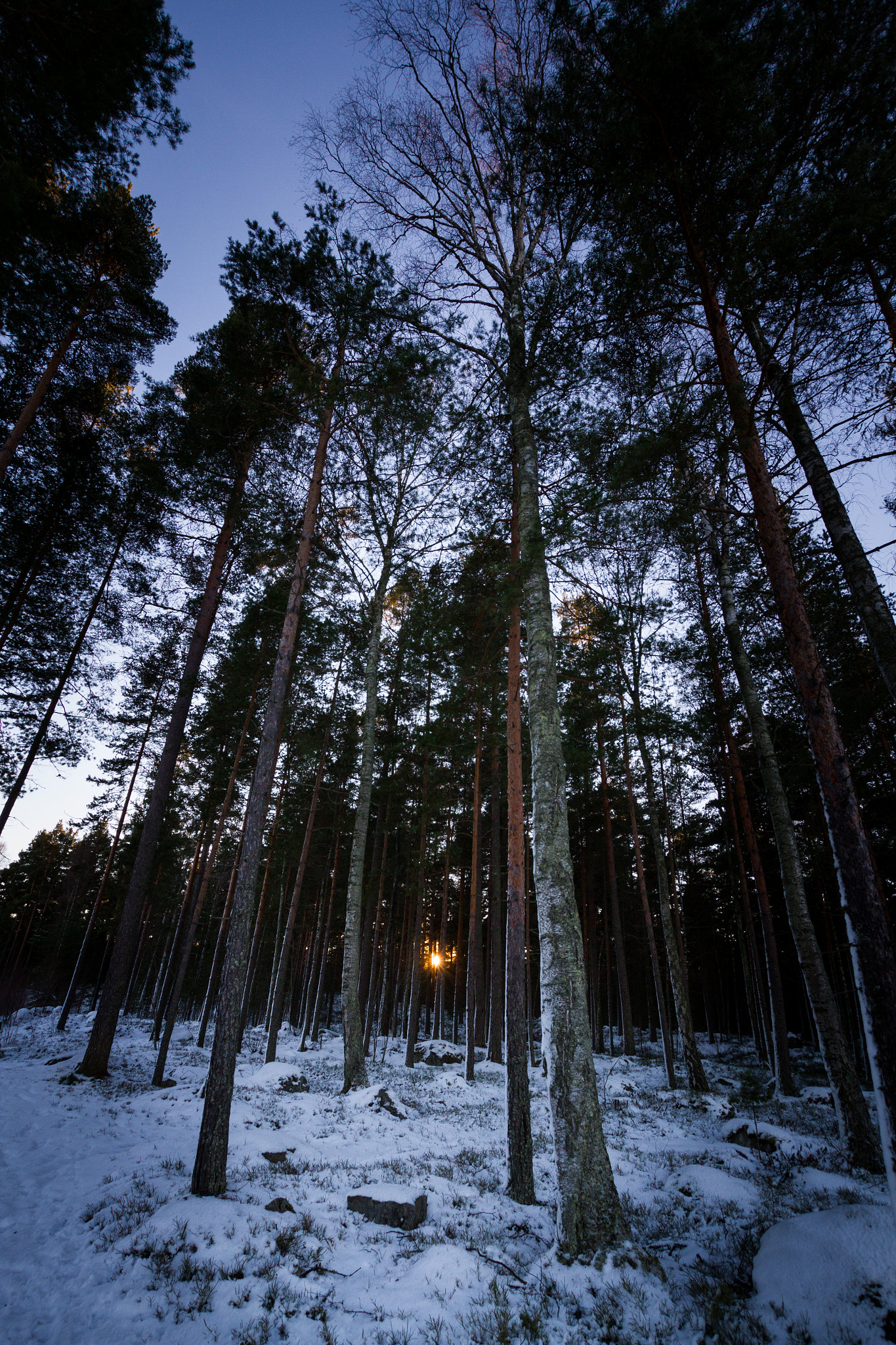 Sigma 10-20mm F3.5 EX DC HSM sample photo. Img photography