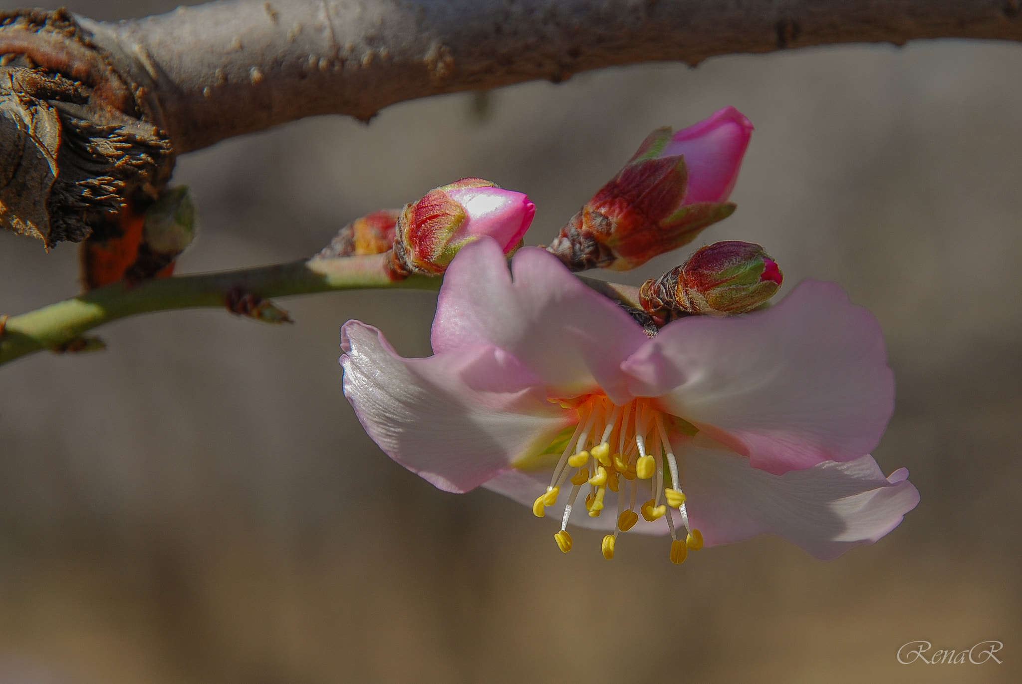 Nikon D80 sample photo. Once, in february photography