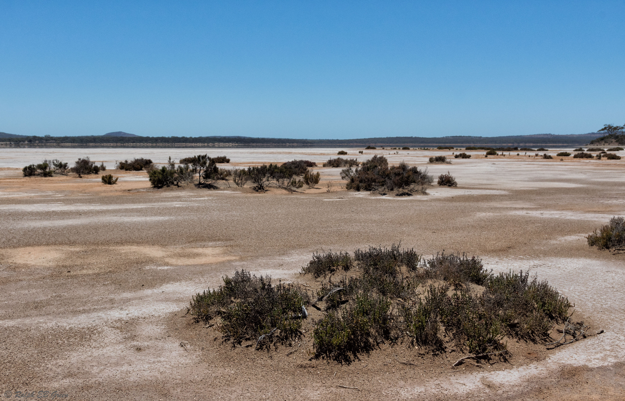 Pentax K-3 II + Sigma 17-50mm F2.8 EX DC HSM sample photo. Islands of plants photography