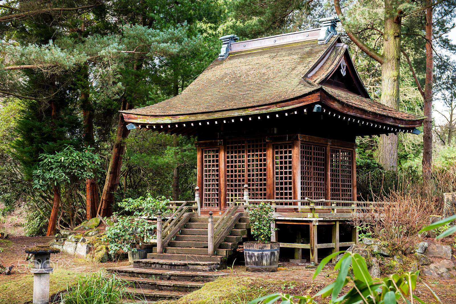 Nikon D3 sample photo. Pagoda photography