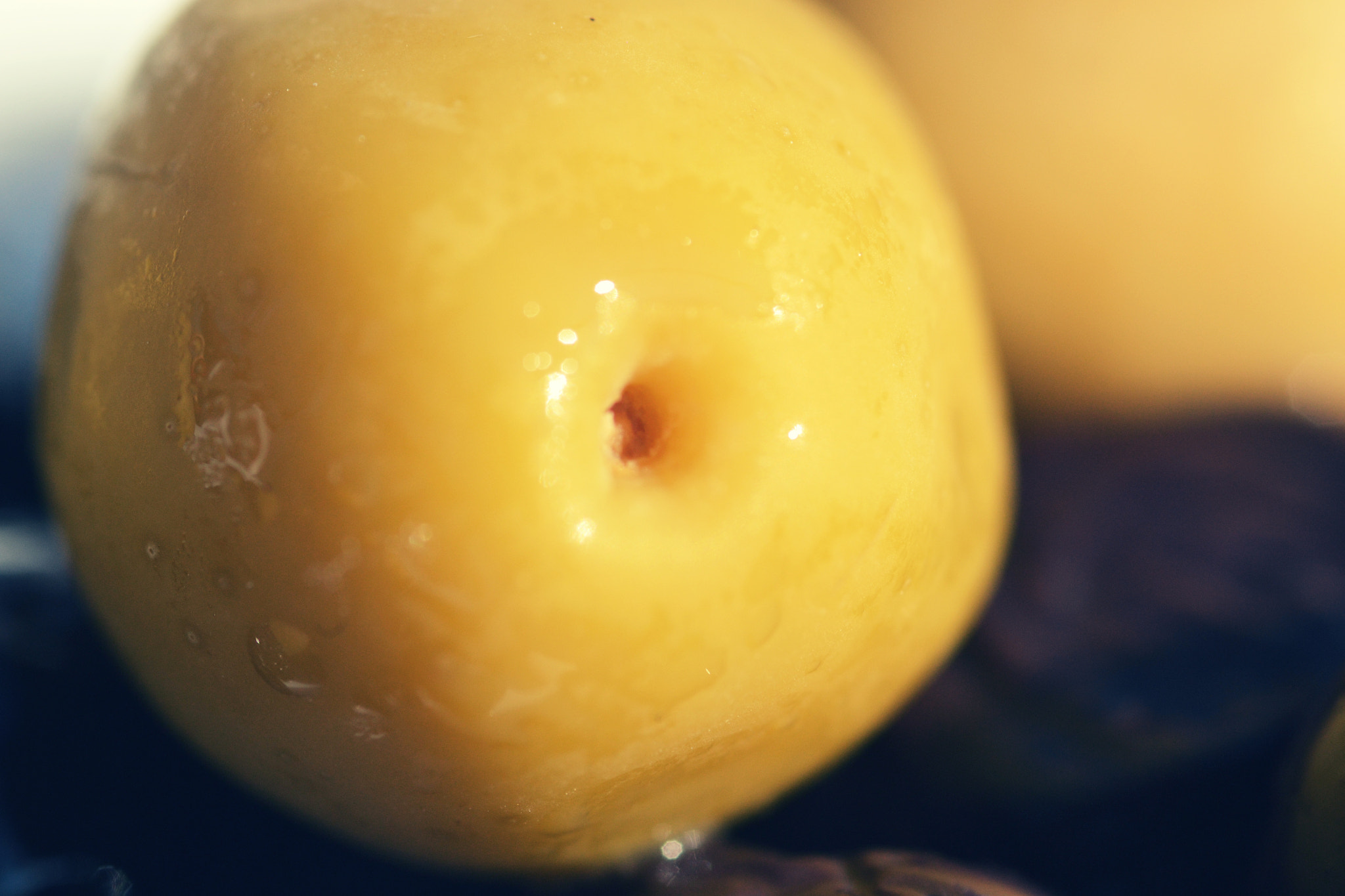 Nikon AF-S Micro-Nikkor 105mm F2.8G IF-ED VR sample photo. Lady belly photography