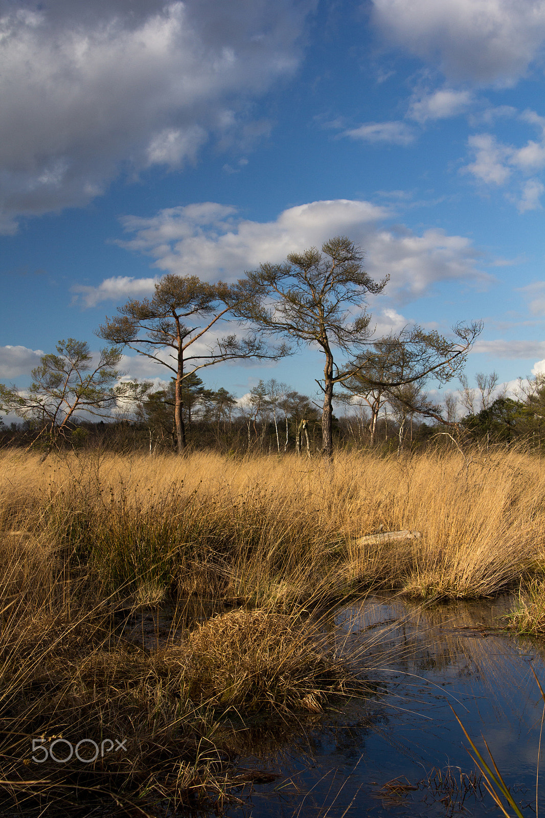 Canon EOS 60D sample photo. Peat and clouds photography