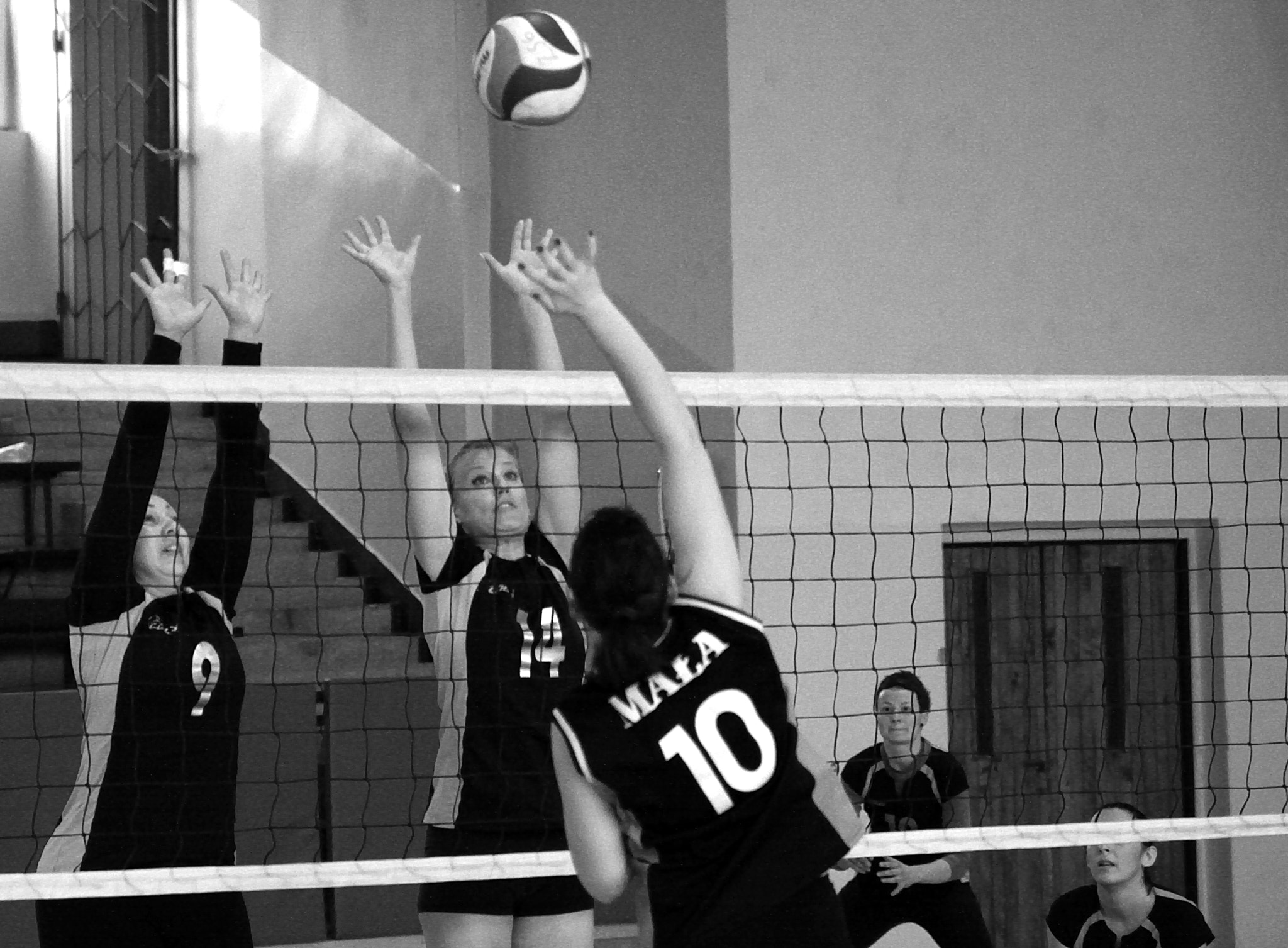 Canon EOS 50D sample photo. Volleyball photography