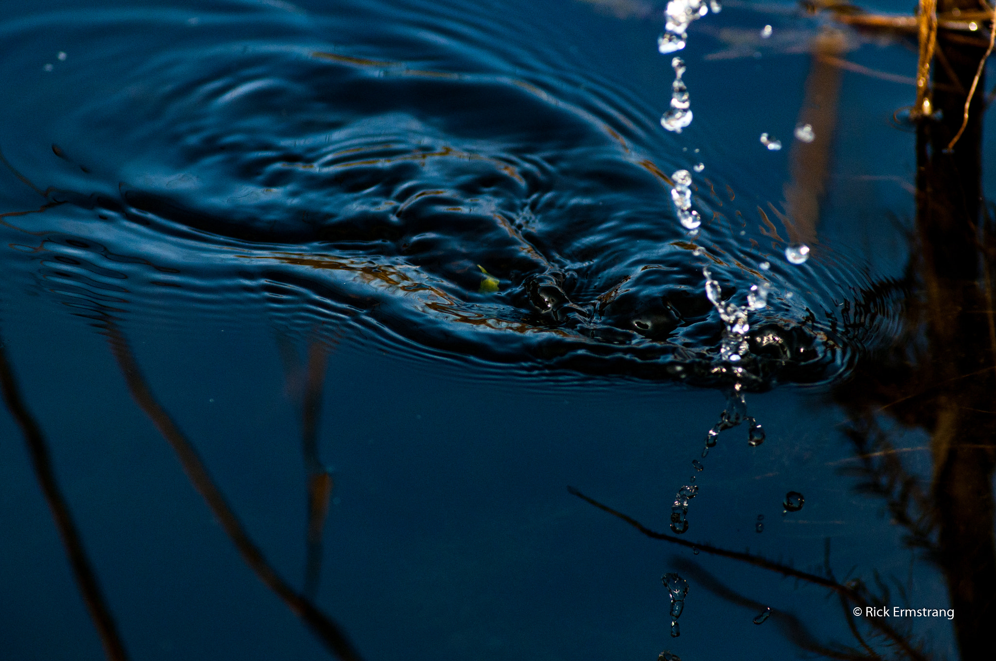 AF Nikkor 180mm f/2.8 IF-ED sample photo. Reflections photography