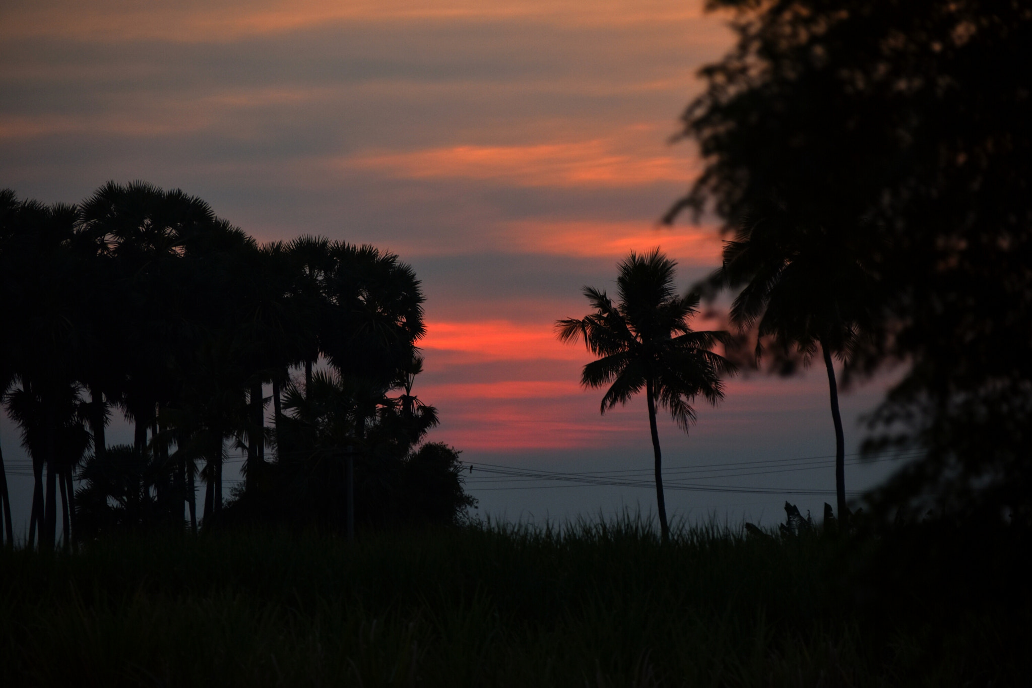 Nikon D5500 sample photo. Silhouette photography