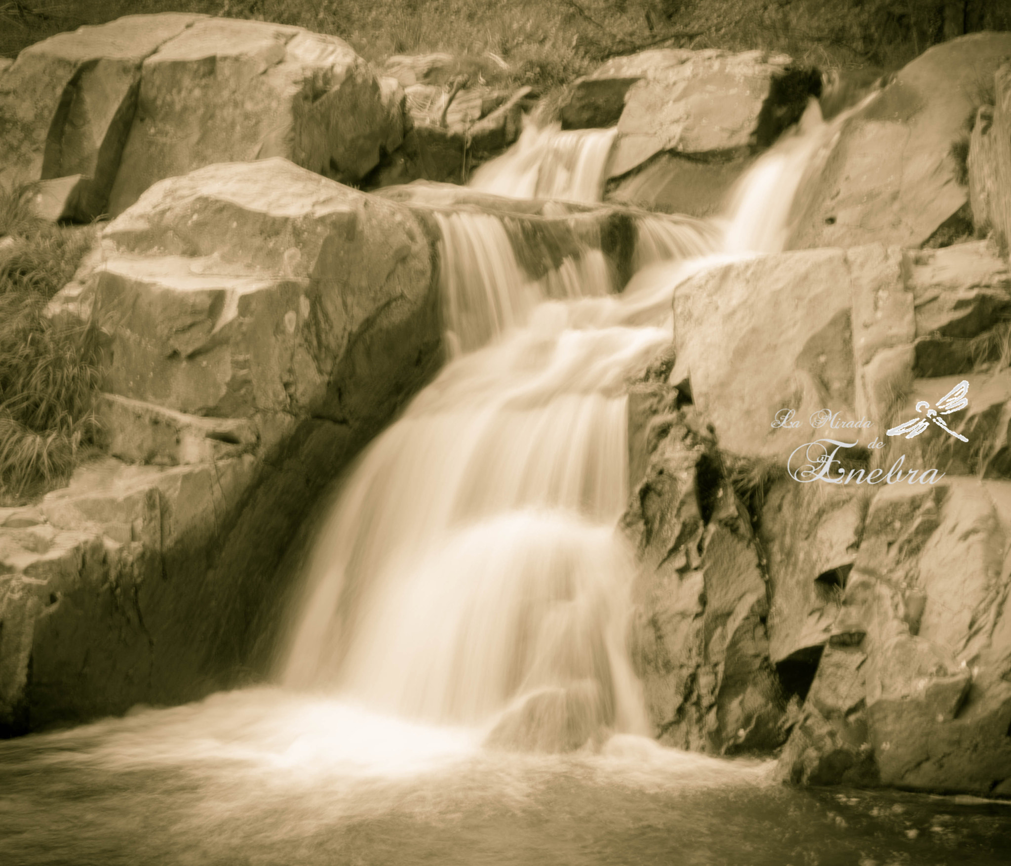 Nikon D7200 sample photo. Abril' photography