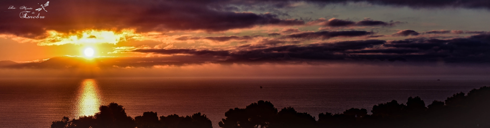 Nikon D7200 sample photo. Alba photography