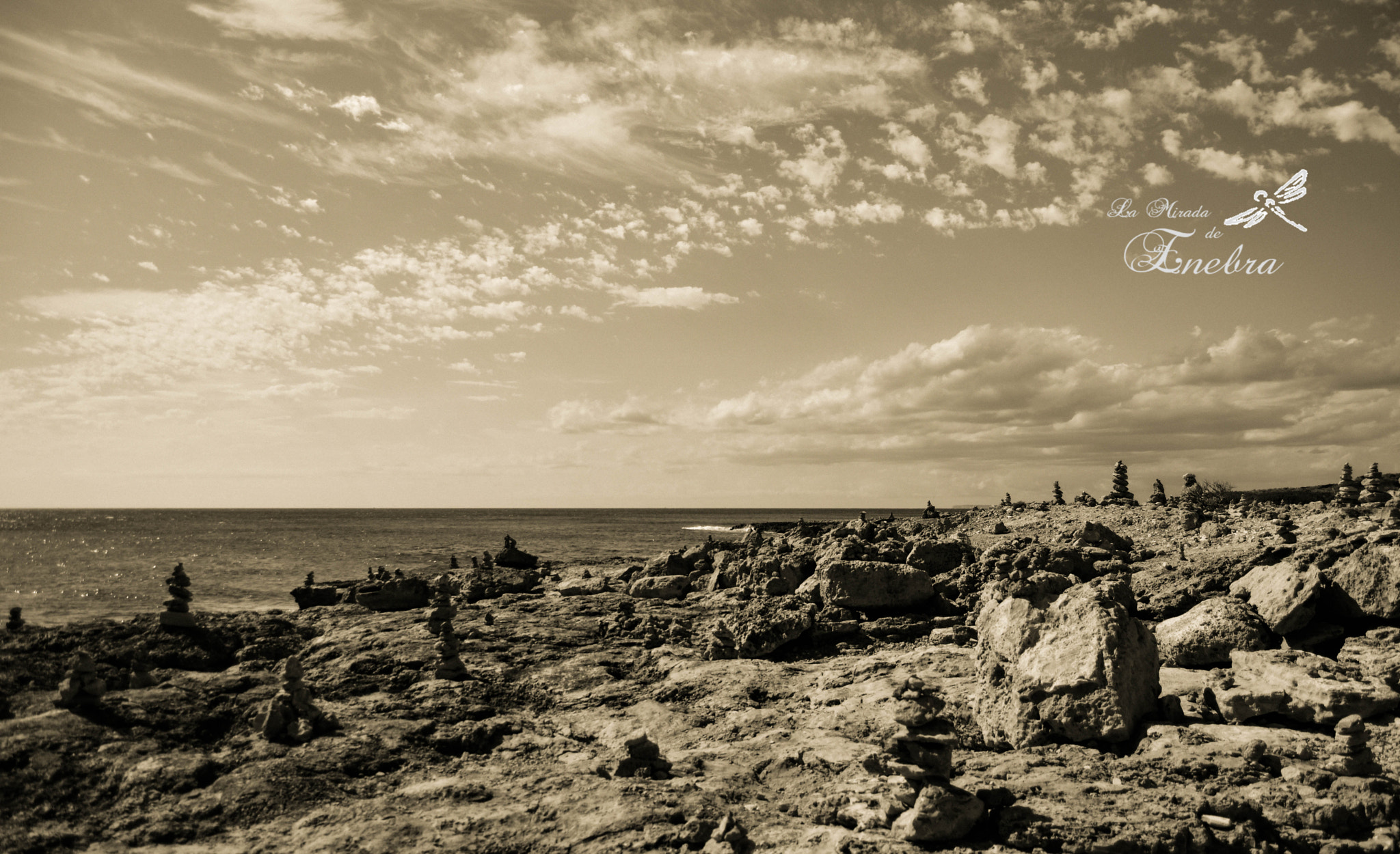 Nikon D7200 sample photo. Beach of stones mounds photography