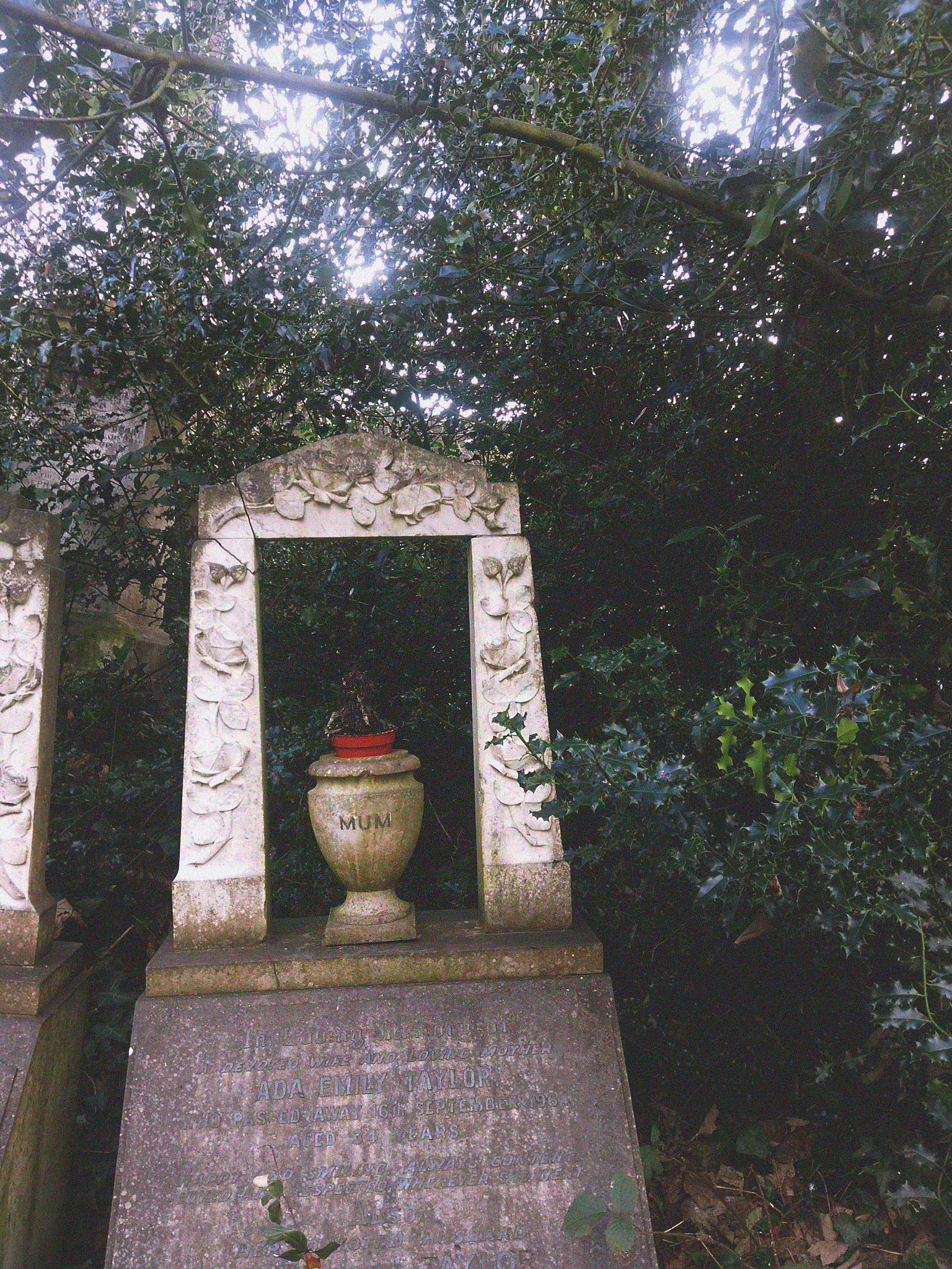 HTC ONE A9 sample photo. Abney park / mum photography