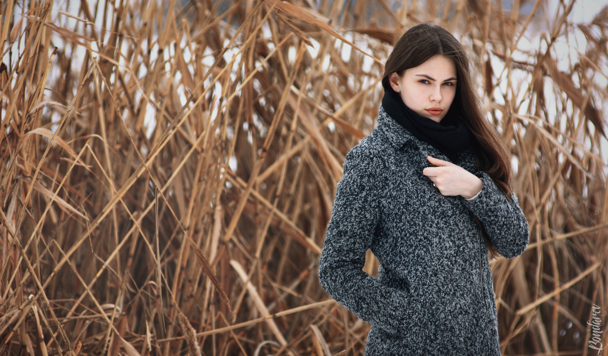 Nikon AF-Nikkor 80-200mm F2.8D ED sample photo. Vika photography