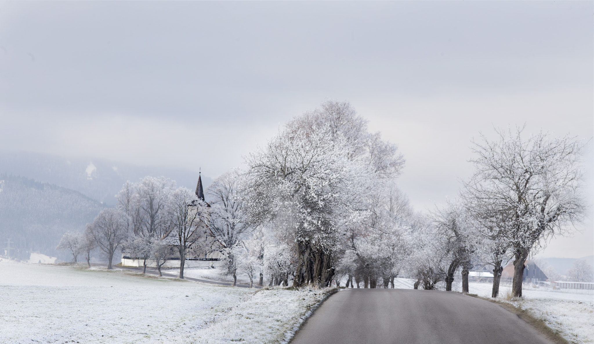 ZEISS Makro-Planar T* 100mm F2 sample photo. Winter photography