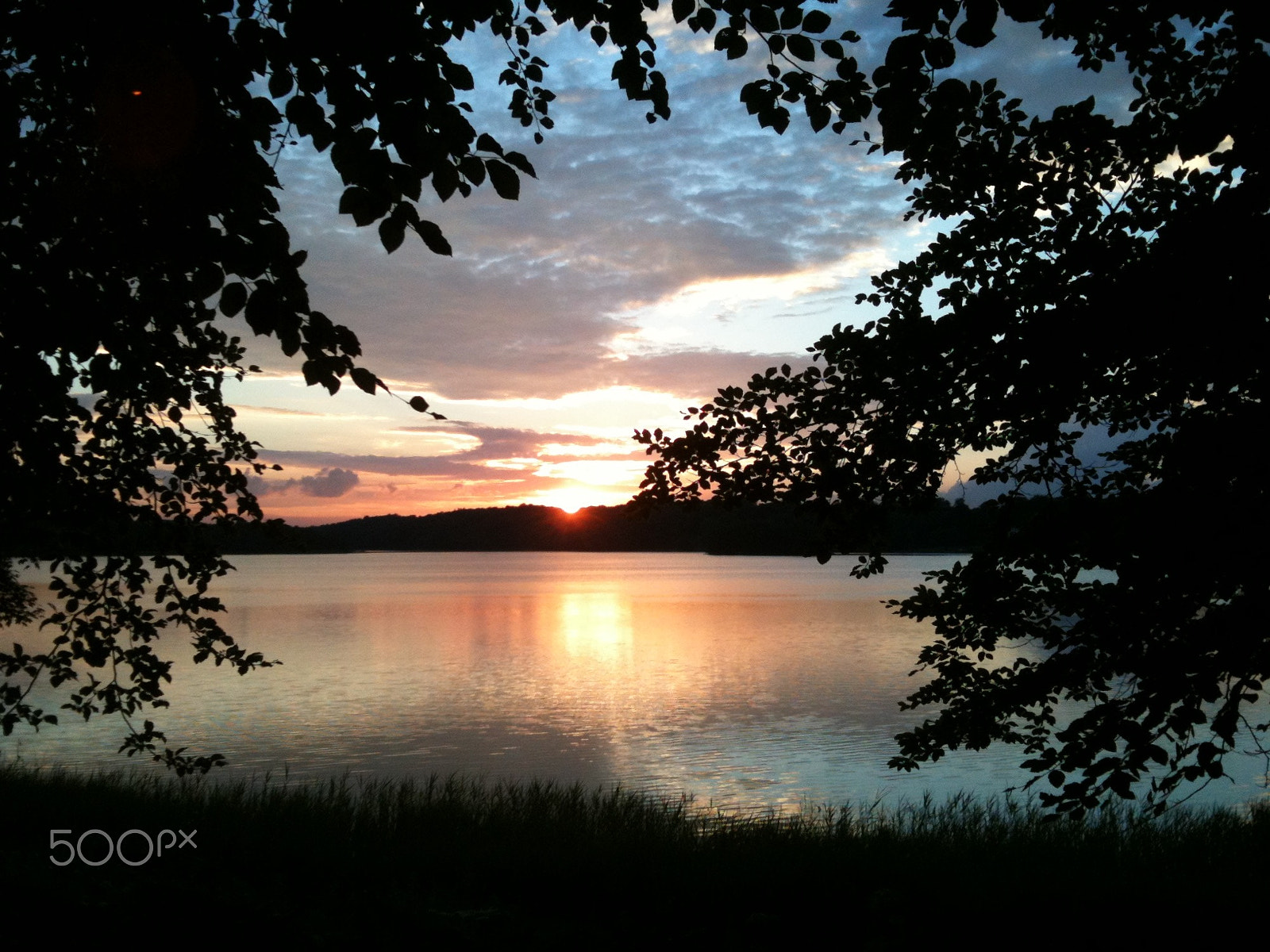 Apple iPhone 3GS sample photo. Midsommer ved bagsværd sø, 2013 photography