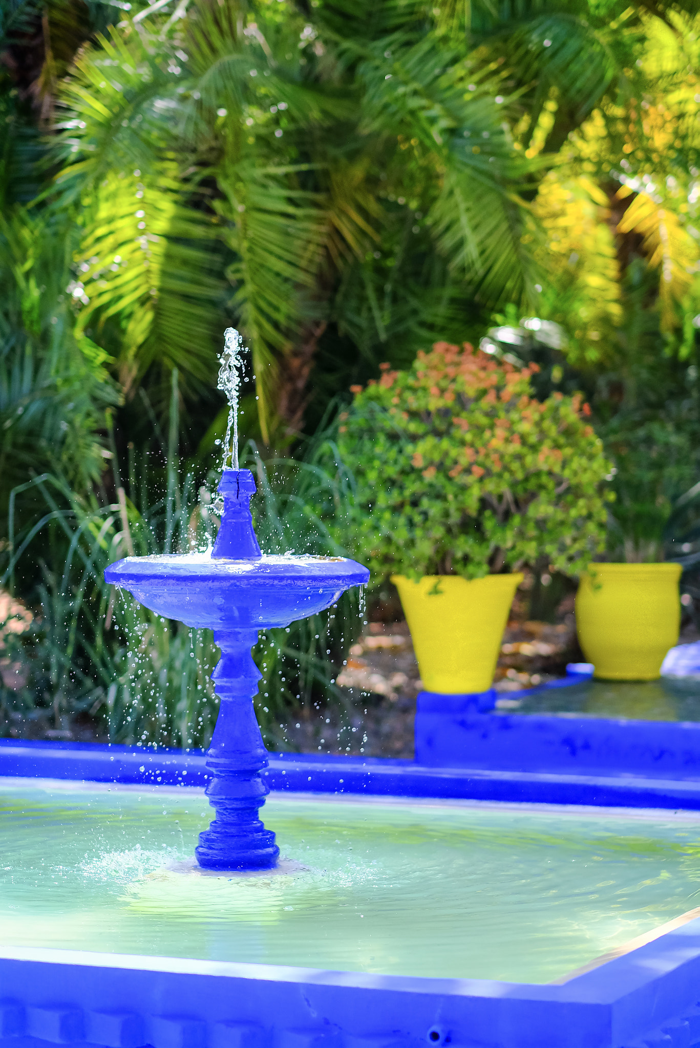 Fujifilm X-Pro2 sample photo. Jardin majorelle photography