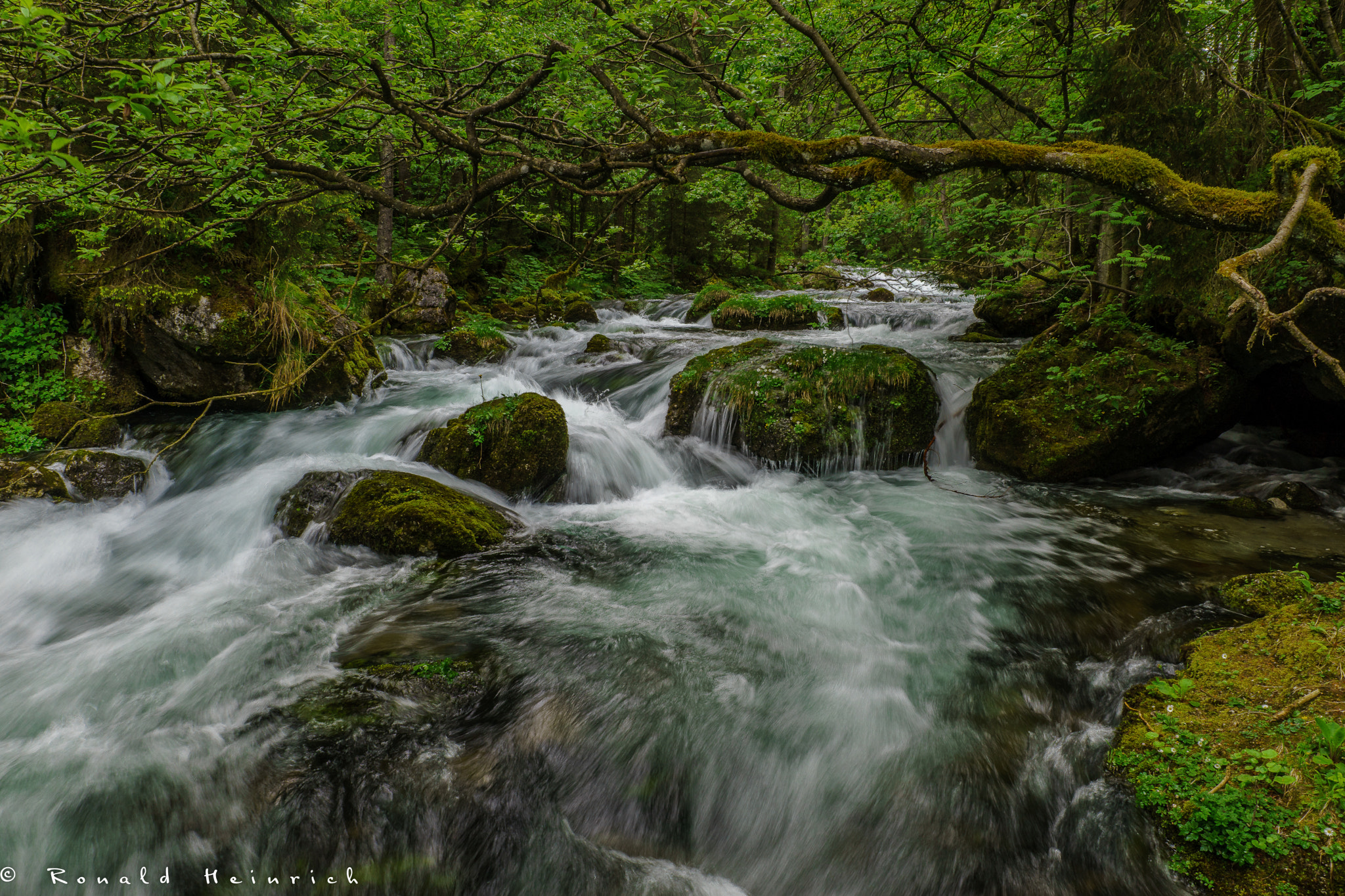 Sony a99 II + 24-70mm F2.8-2.8 SSM sample photo. 41  2016-05-11.jpg photography