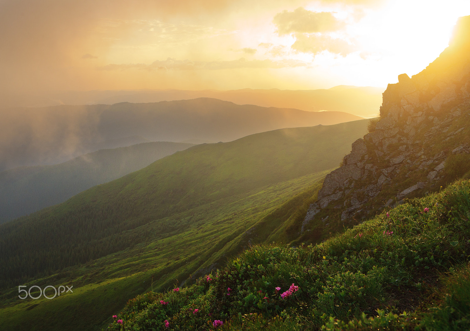 Canon EOS 5D + Canon EF 24-70mm F2.8L USM sample photo. Summer sunrise in carpathians photography