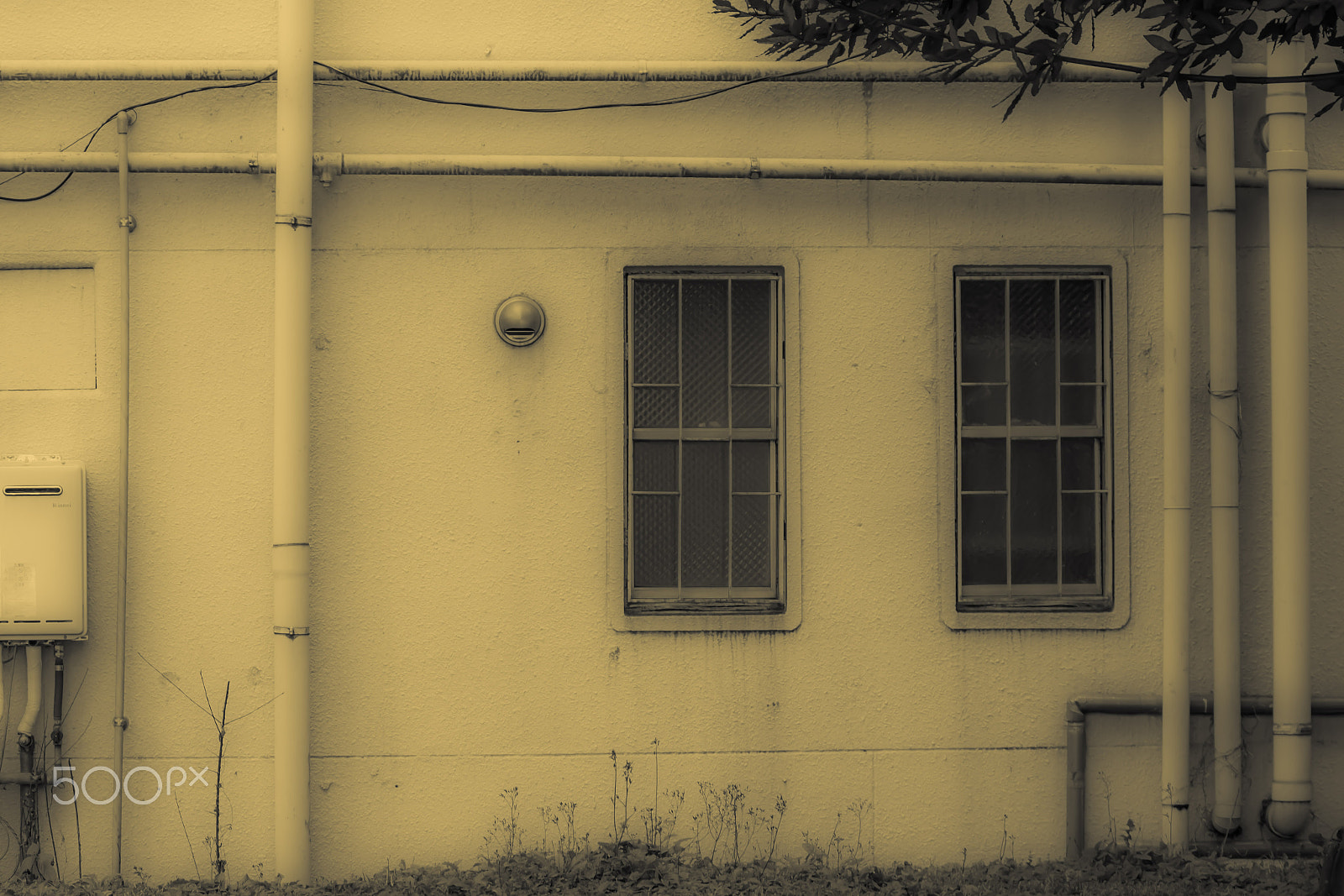 Sigma sample photo