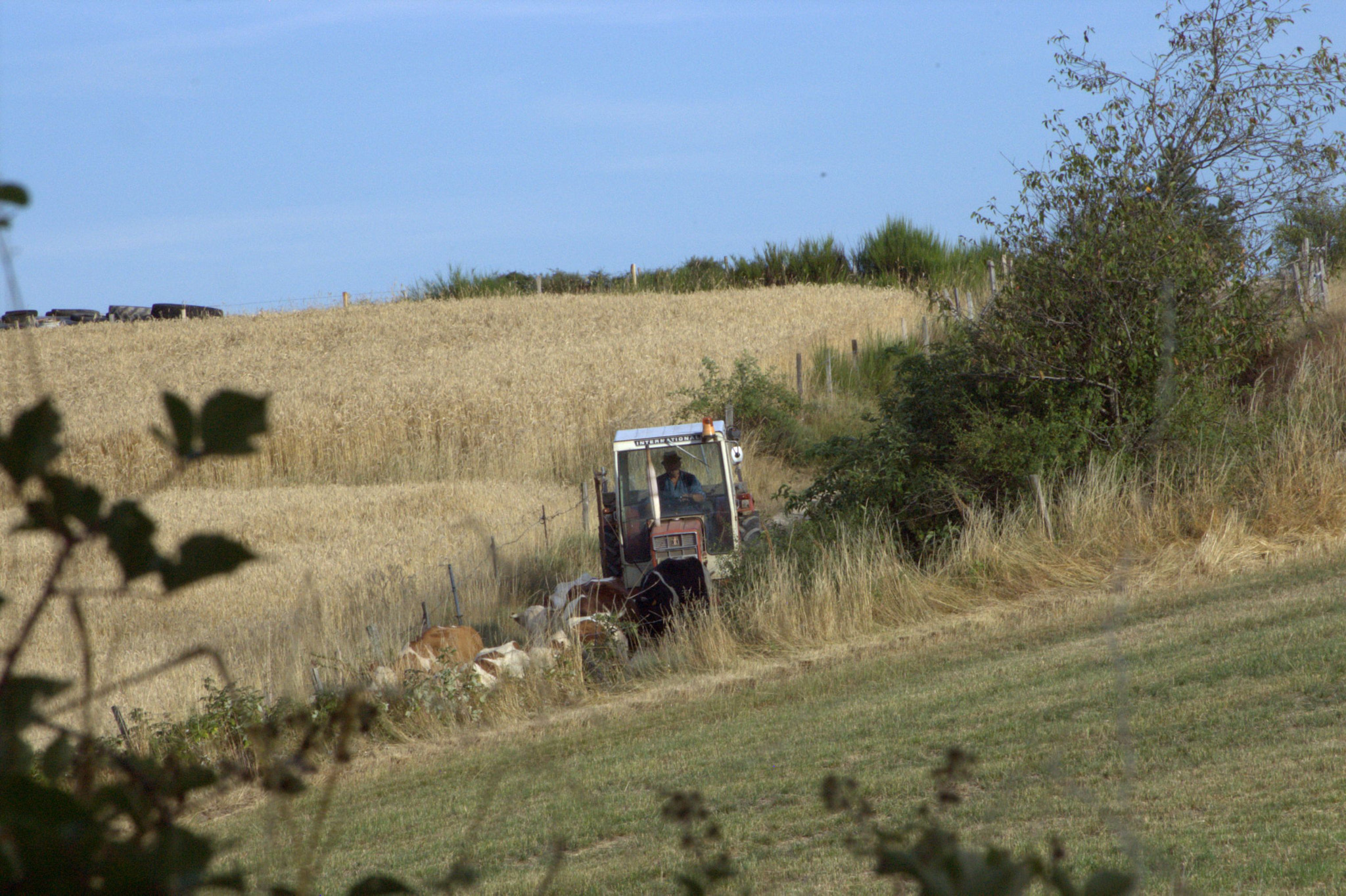 Pentax K100D Super sample photo. Lozere tracteur sur un chemin photography