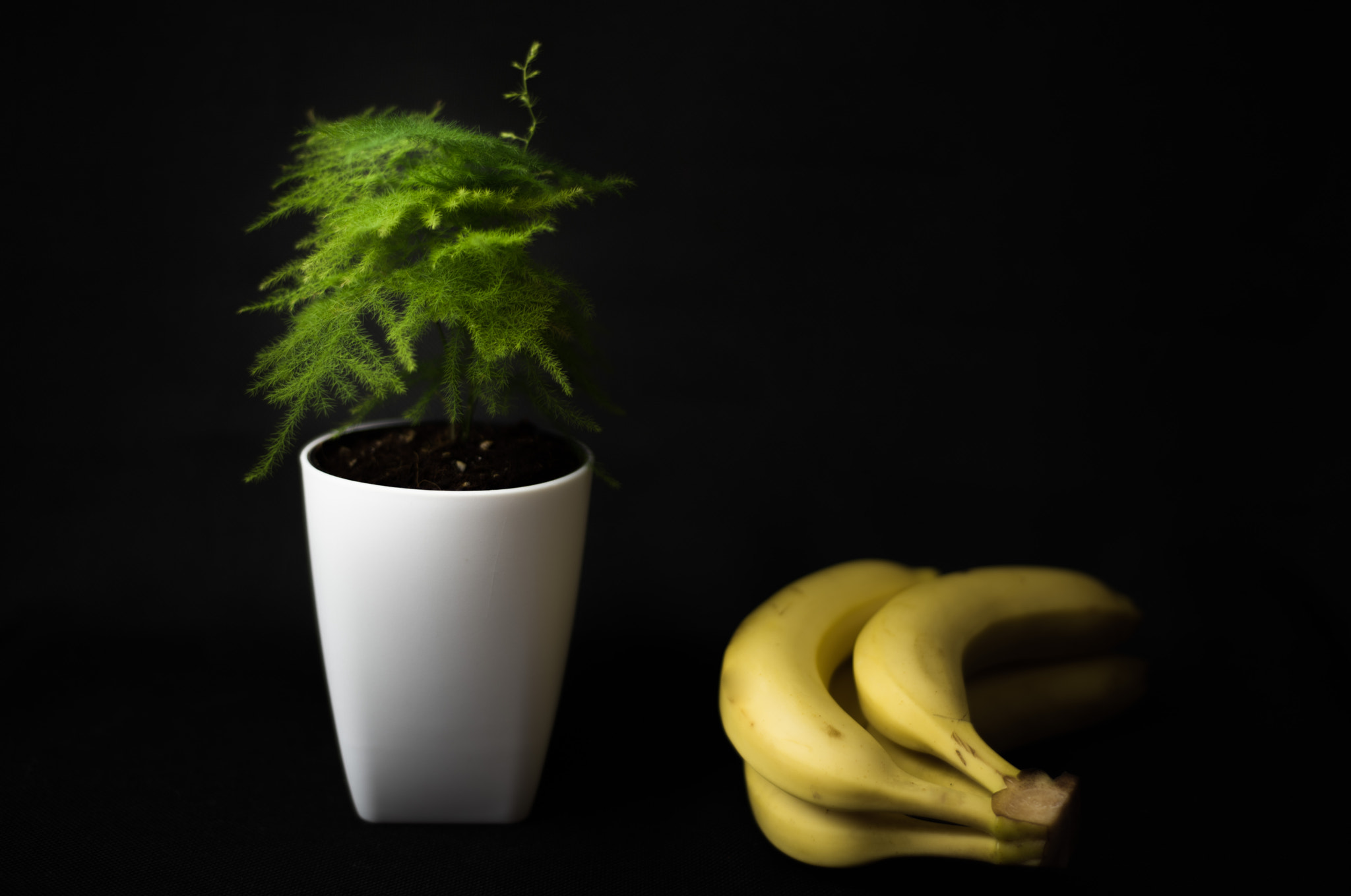 Nikon D810 + Nikon AF Nikkor 50mm F1.8D sample photo. Flower and banana photography