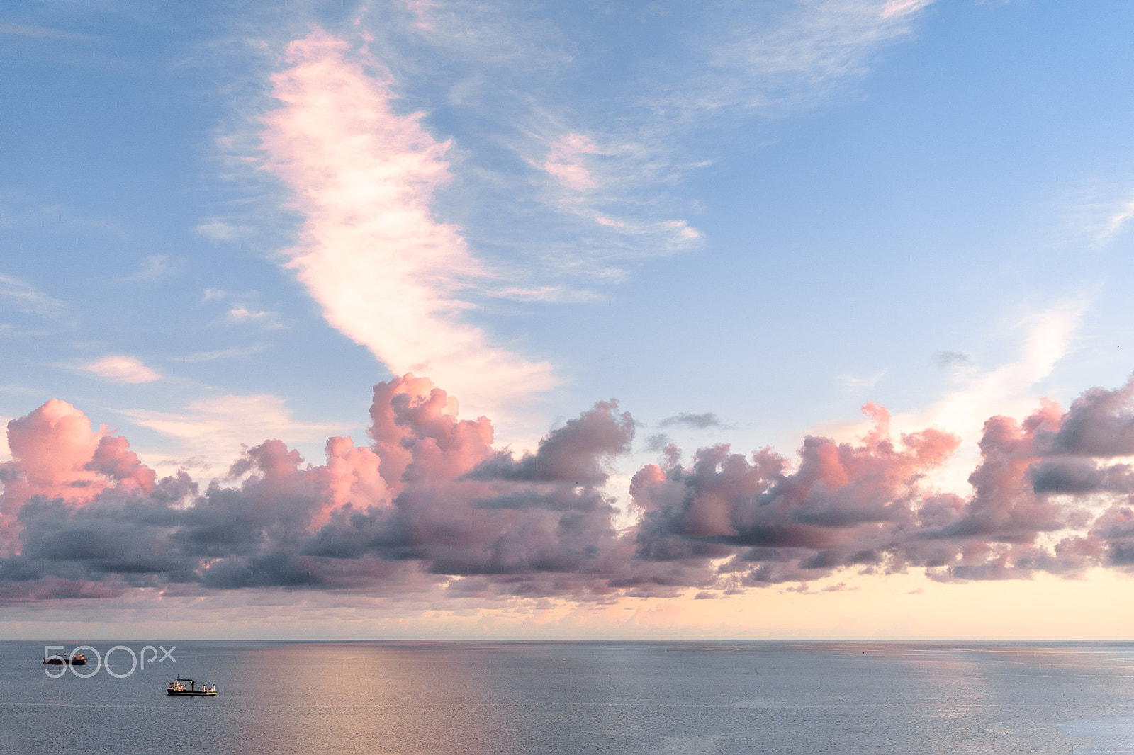 Sony a7 + Sony Sonnar T* FE 35mm F2.8 ZA sample photo. Forest on the sea photography