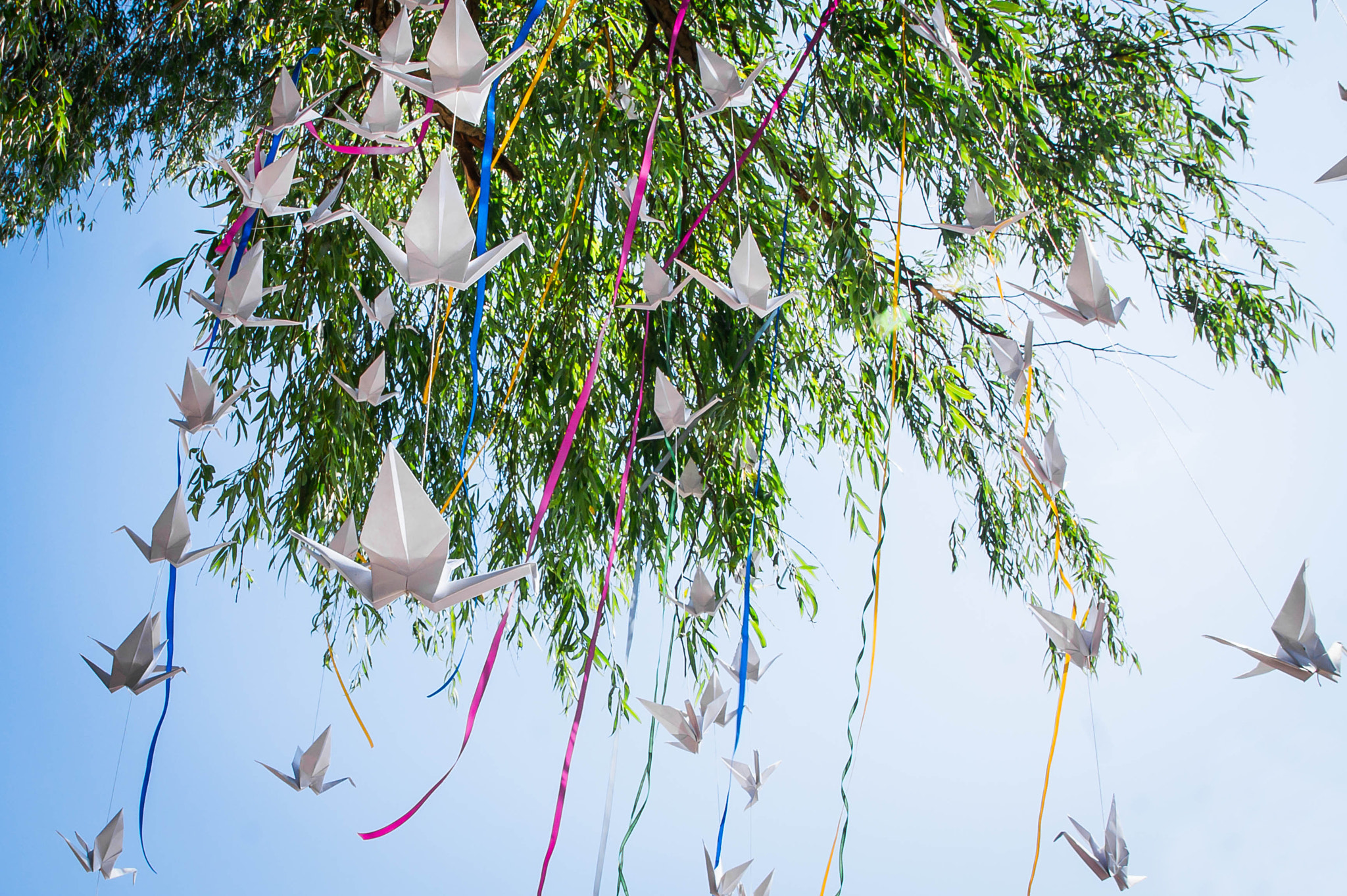 Sony Alpha DSLR-A550 + Sony DT 16-50mm F2.8 SSM sample photo. Under the cranes photography