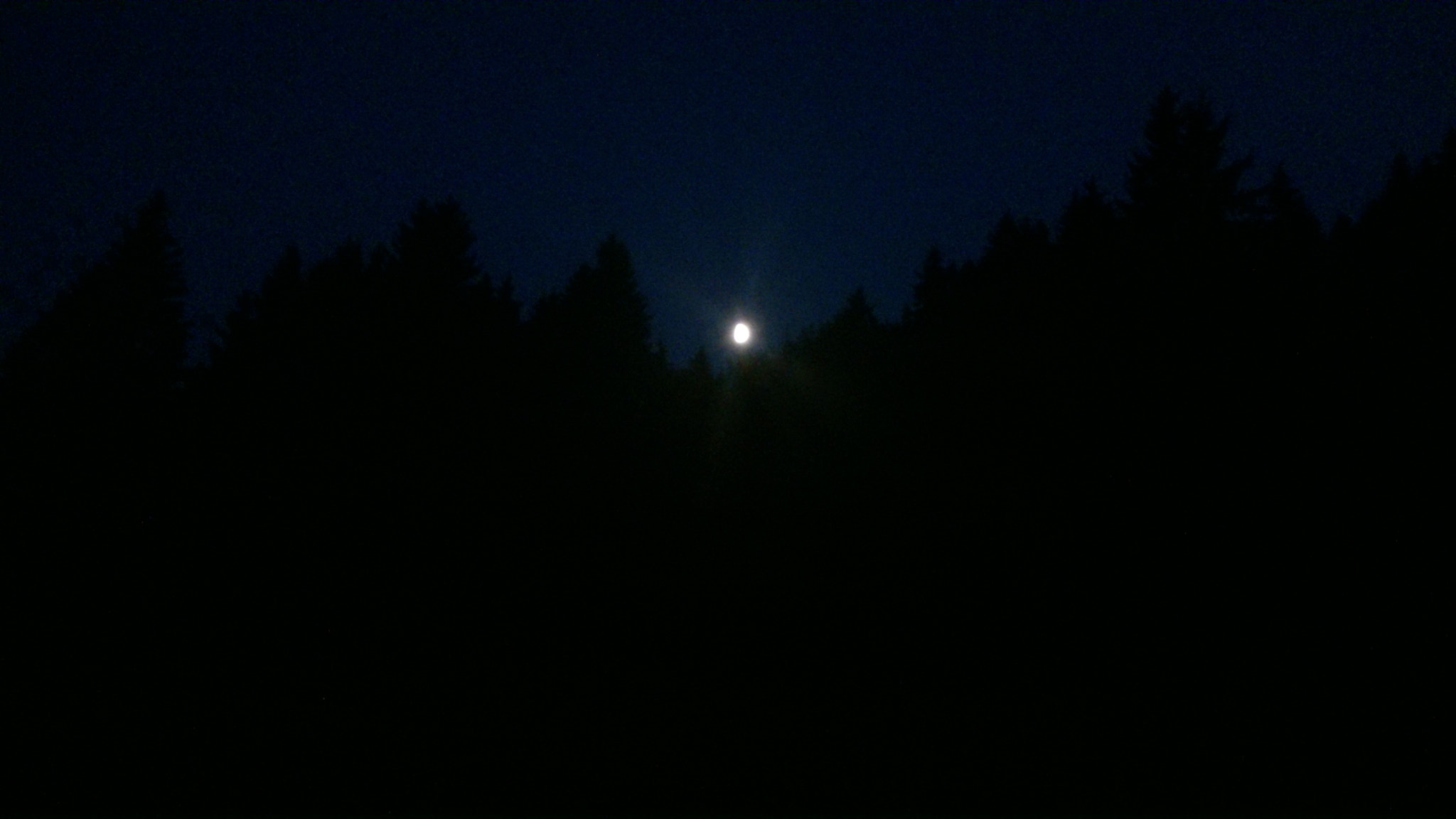 Sony Xperia P sample photo. Nocturnal sun photography
